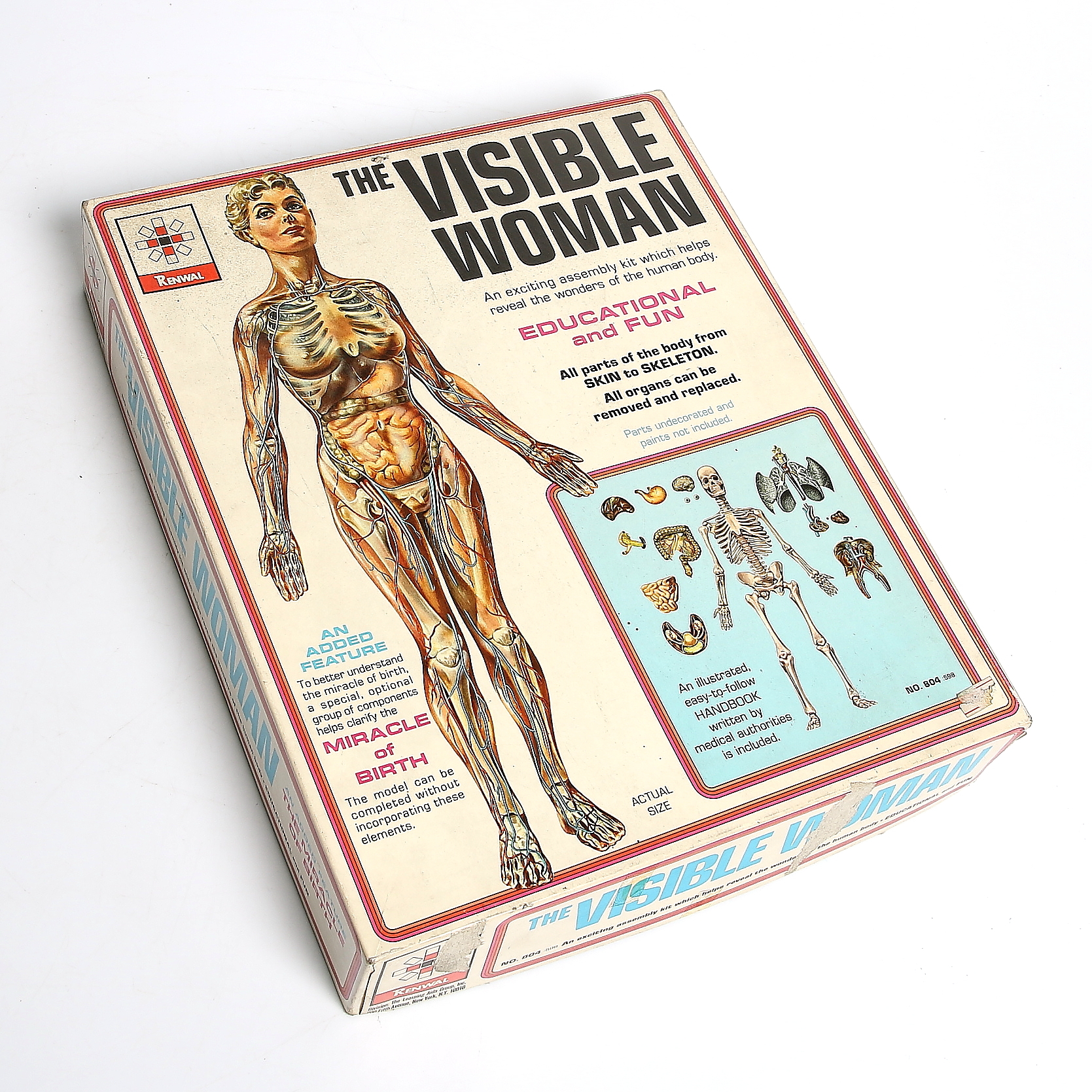 Images for 253617. PLASTIC MODEL 