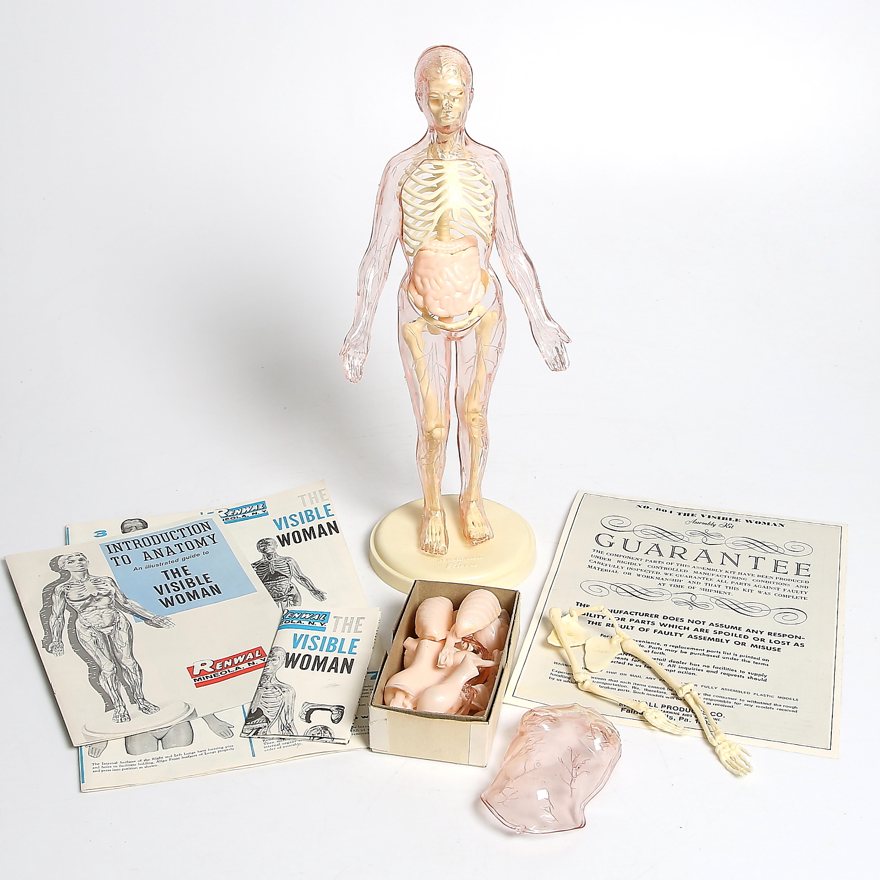 Images for 253617. PLASTIC MODEL 
