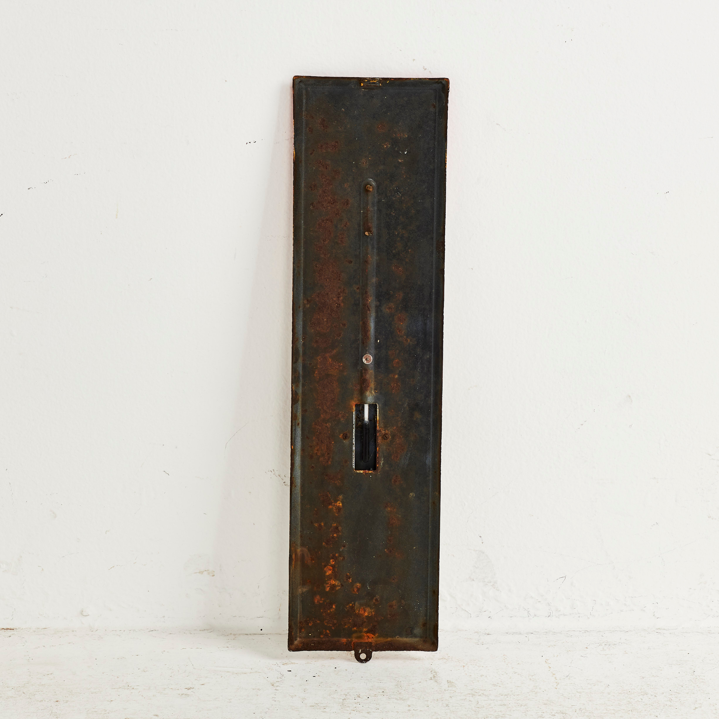 Swix R0220N Wall Thermometer main image 0