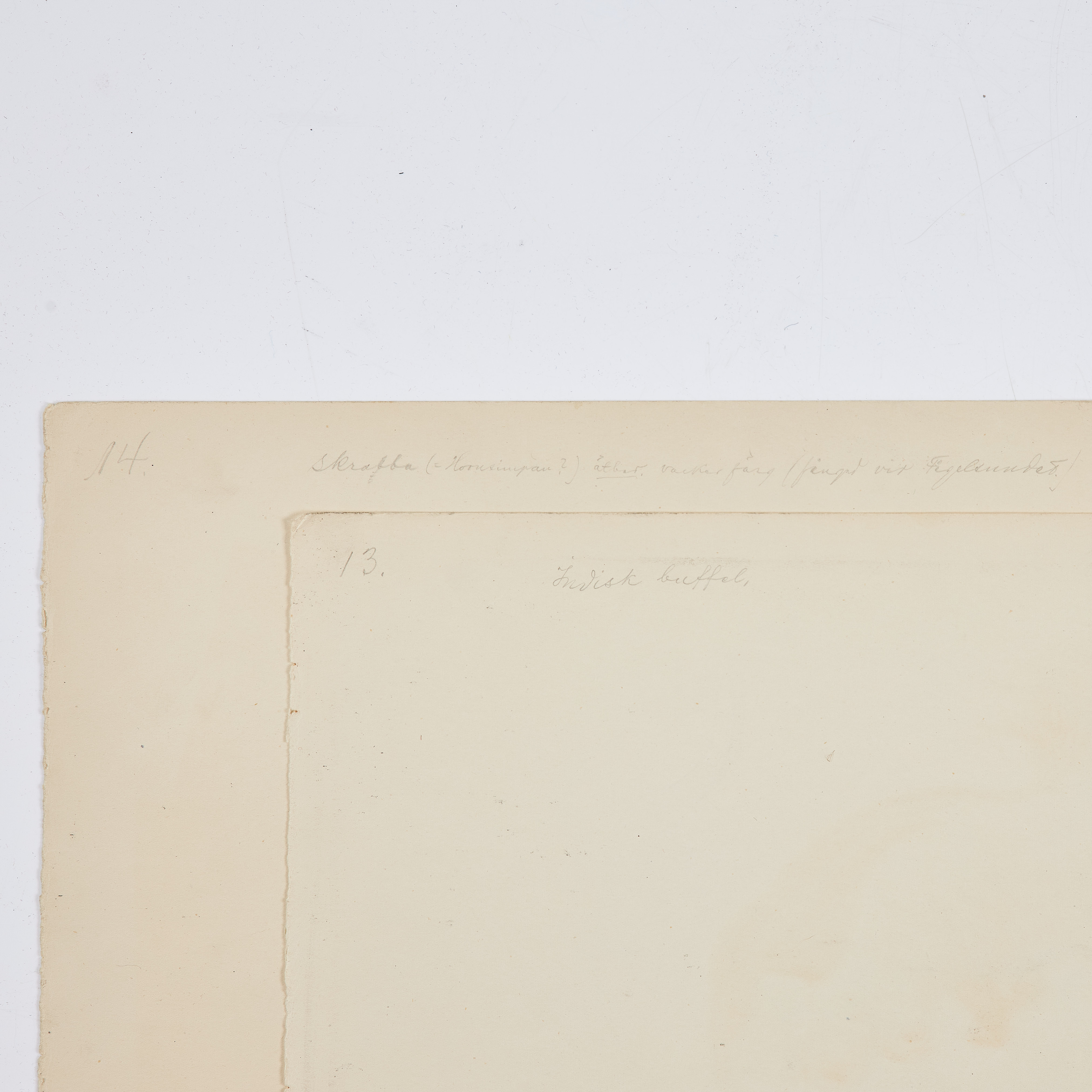 Bilder för 2914491. OLOF THUNMAN (1879-1944). TECKNINGAR, 2 st ...