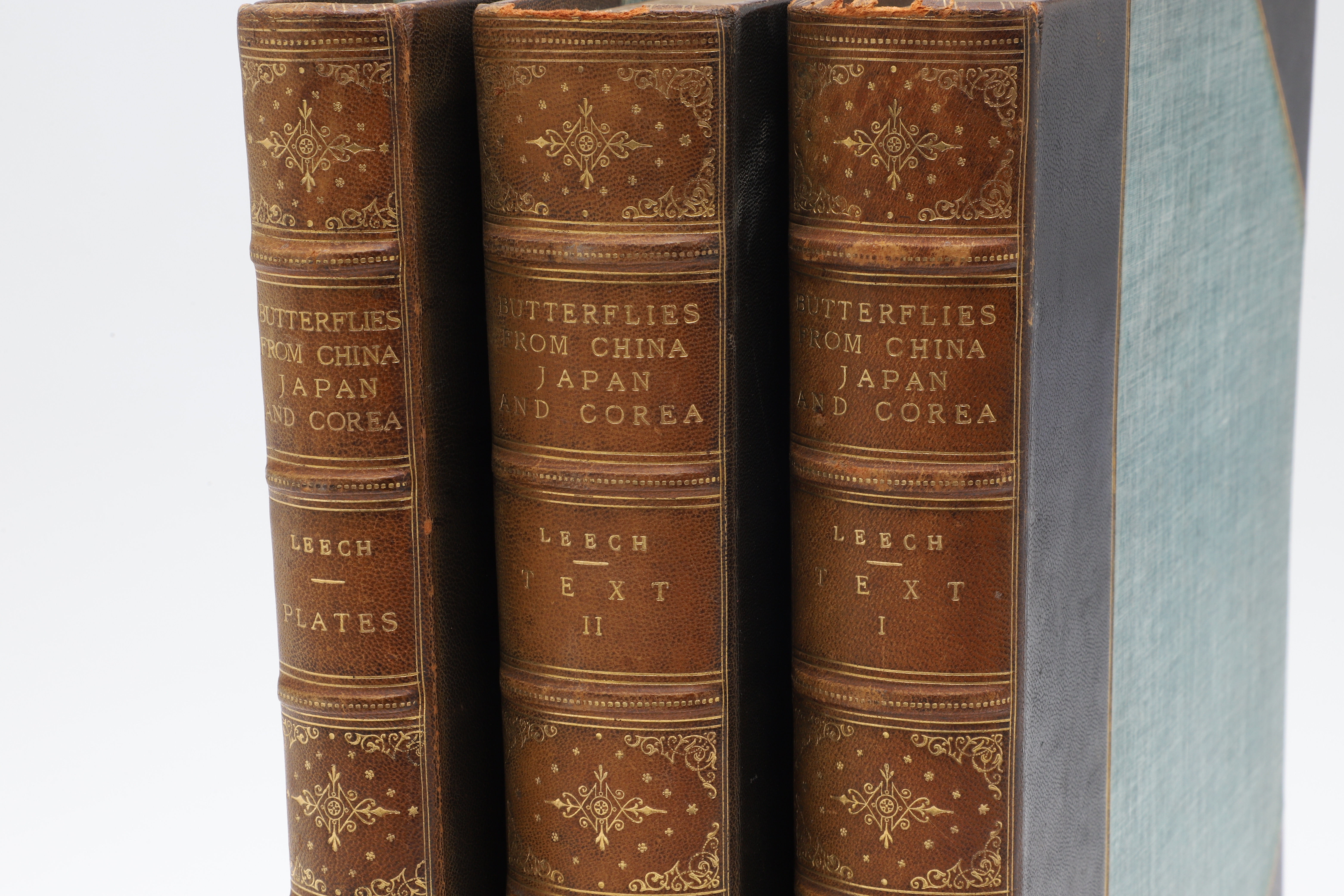 Images for 3389110. JOHN HENRY LEECH. The Butterflies from China