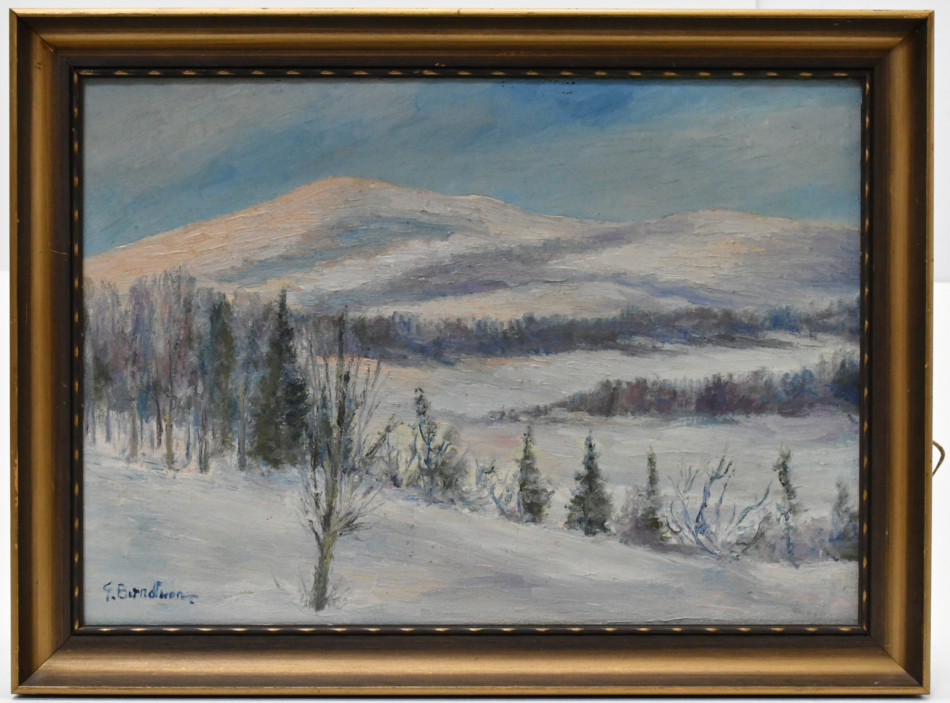 OIDENTIFIERAD KONSTNÄR. Snasahögarna. Olja på Pannå.