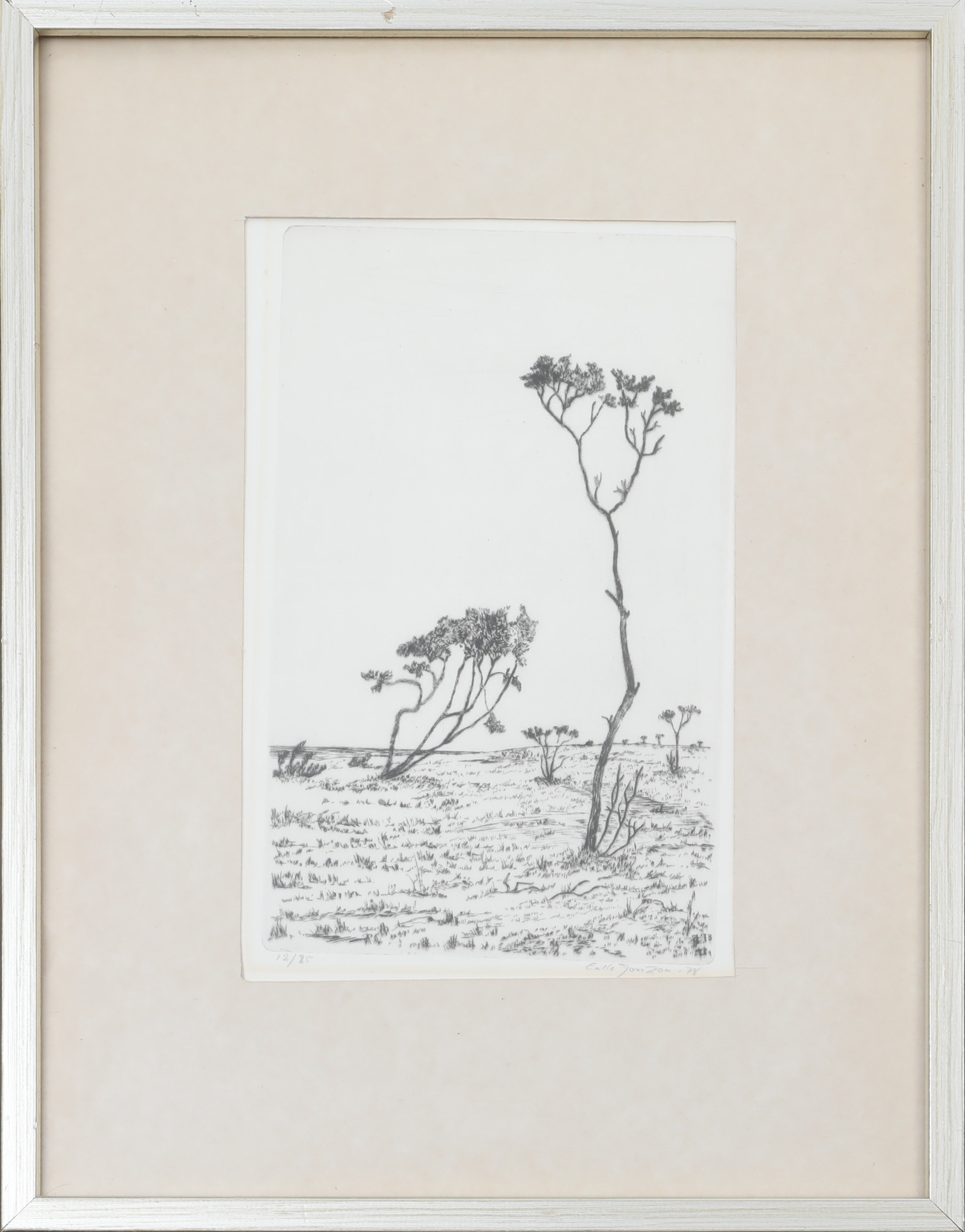 CALLE JONSON. Litografi, numrerad 12/25, signerad.