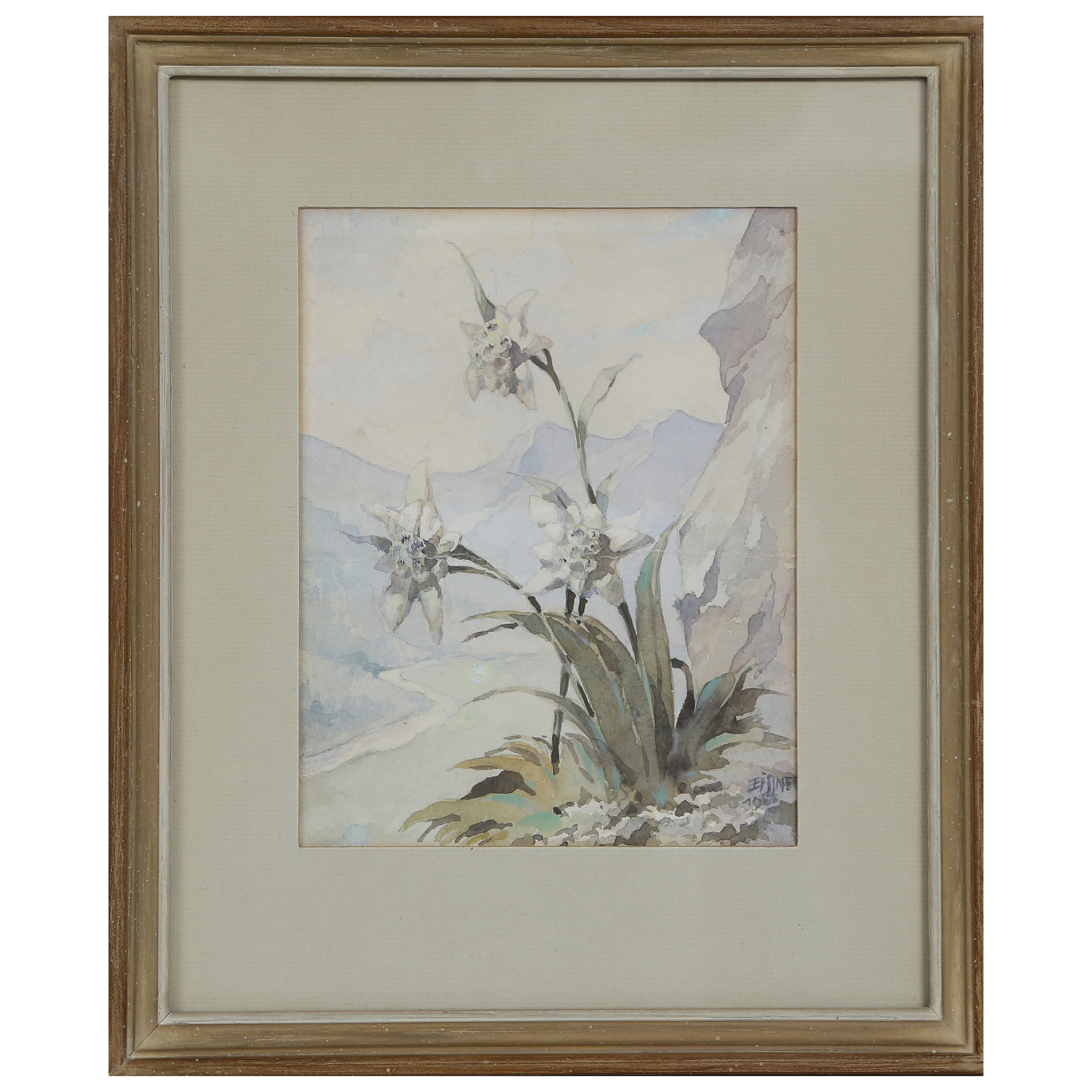 GUSTAV EISSNER "EDELWEISS" AKVARELL, SIGNERAD, DATERAD.