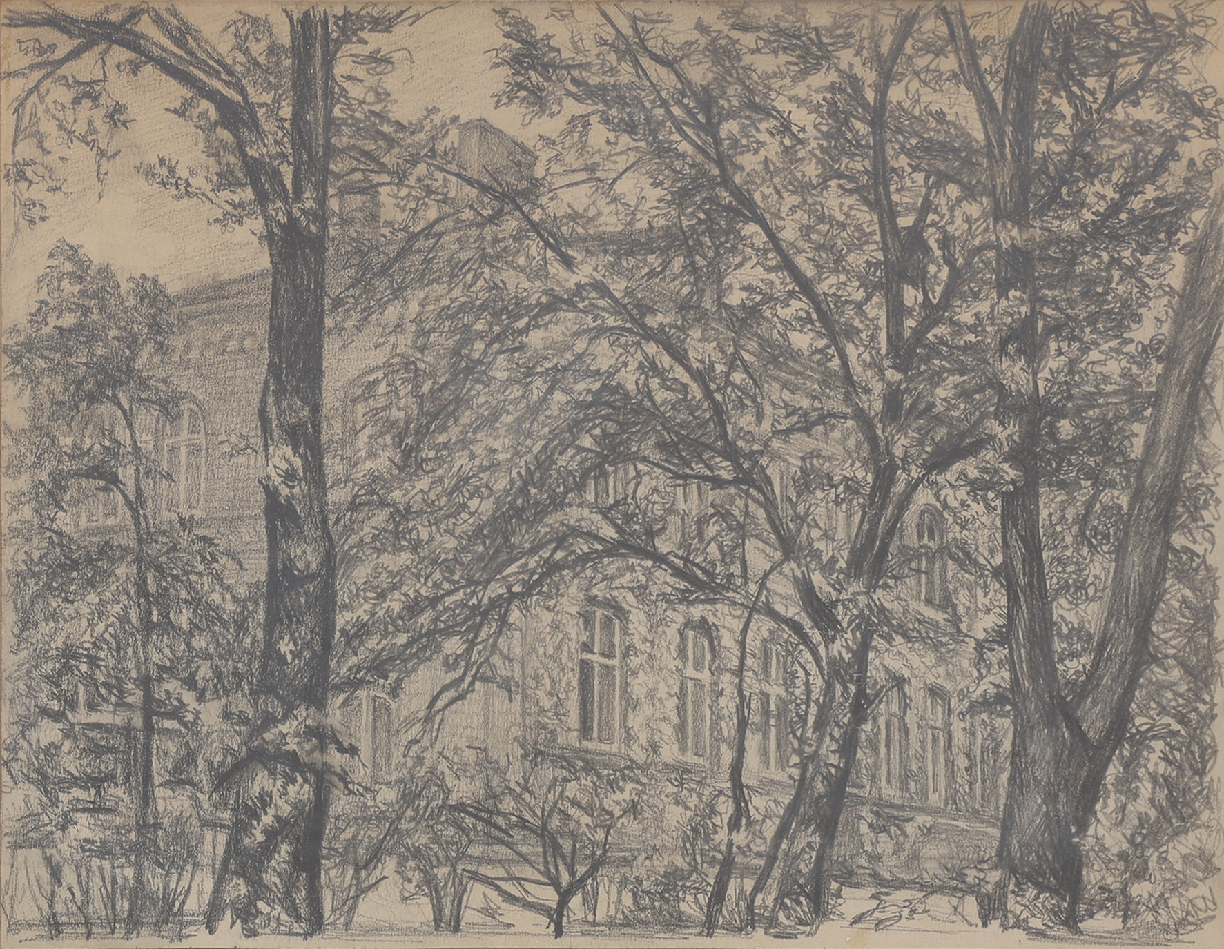 GRAFIT PÅ PAPPER, GAMLA KIRURGEN FRÅN SYDOST, 1900-TAL.