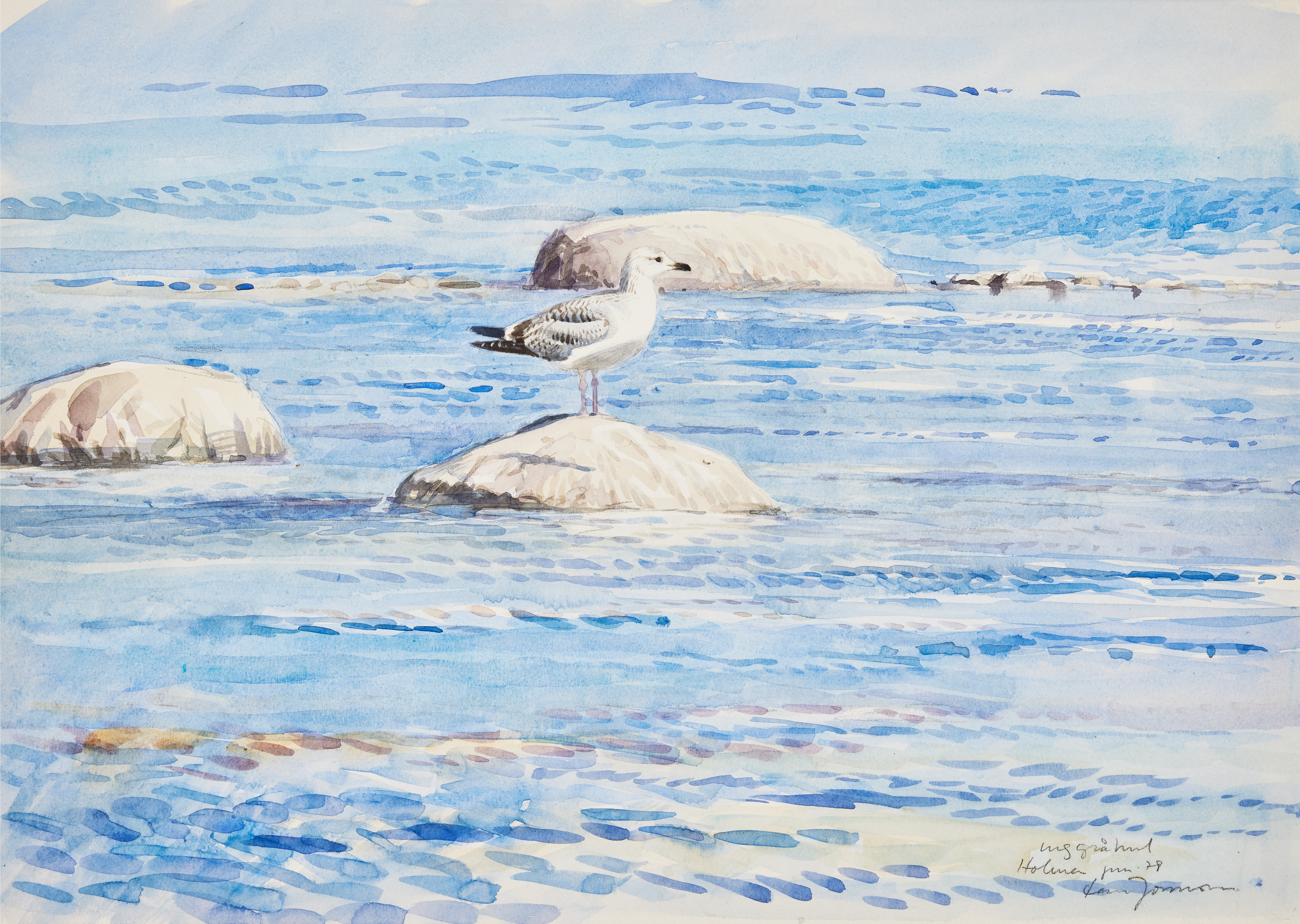 LARS JONSSON. "Ung Gråtrut".