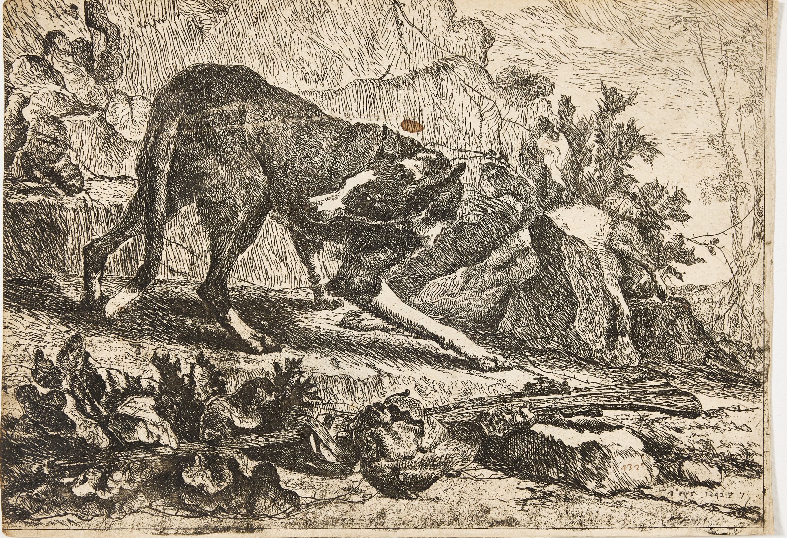 JAN FYT (THE NETHERLANDS 1611-1661). "Lone Dog".