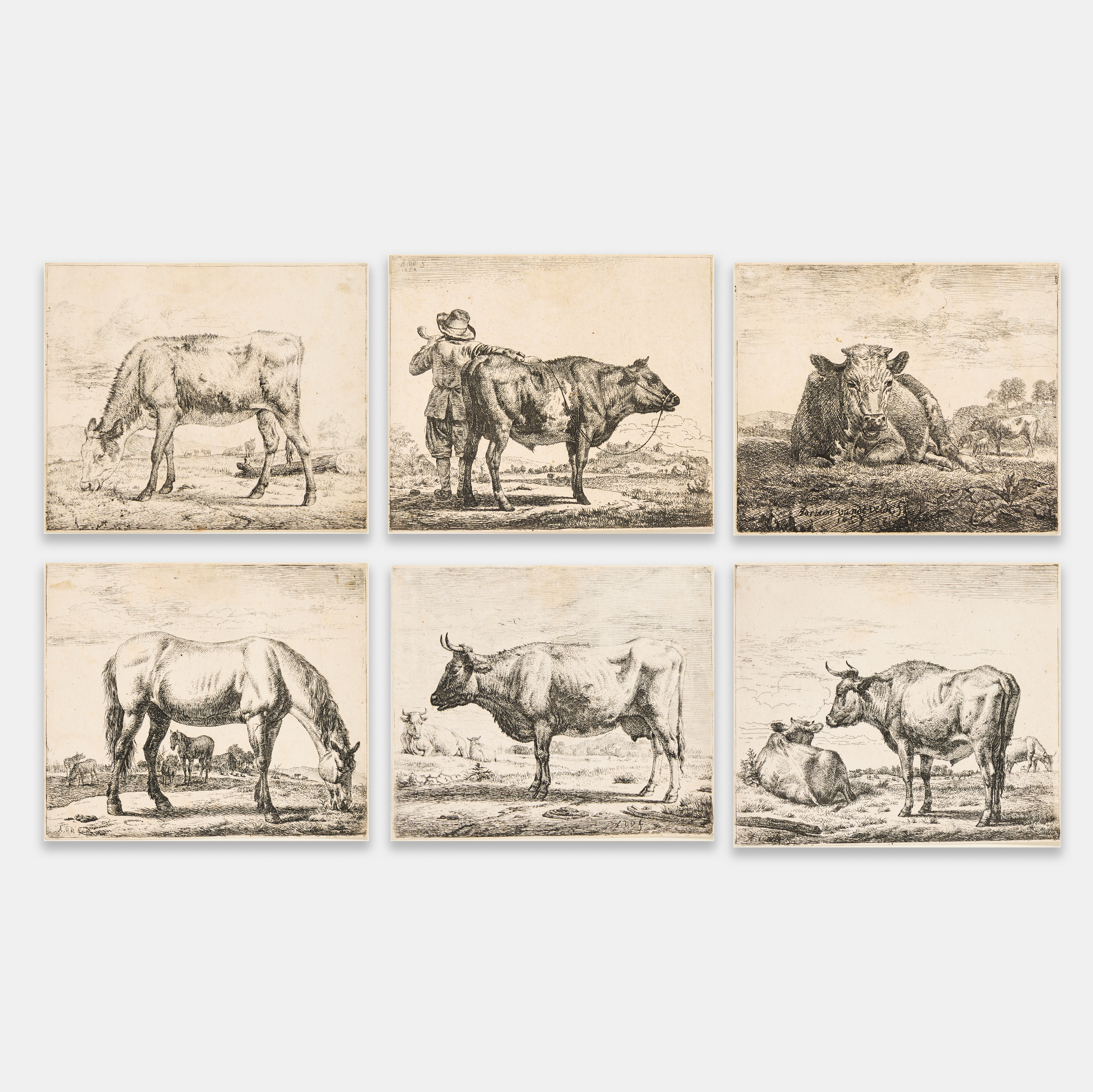 ADRIAEN VAN DE VELDE (THE NETHERLANDS 1636-1672). Group of 8 etchings, including a horse and cattle, from "Different Animals".