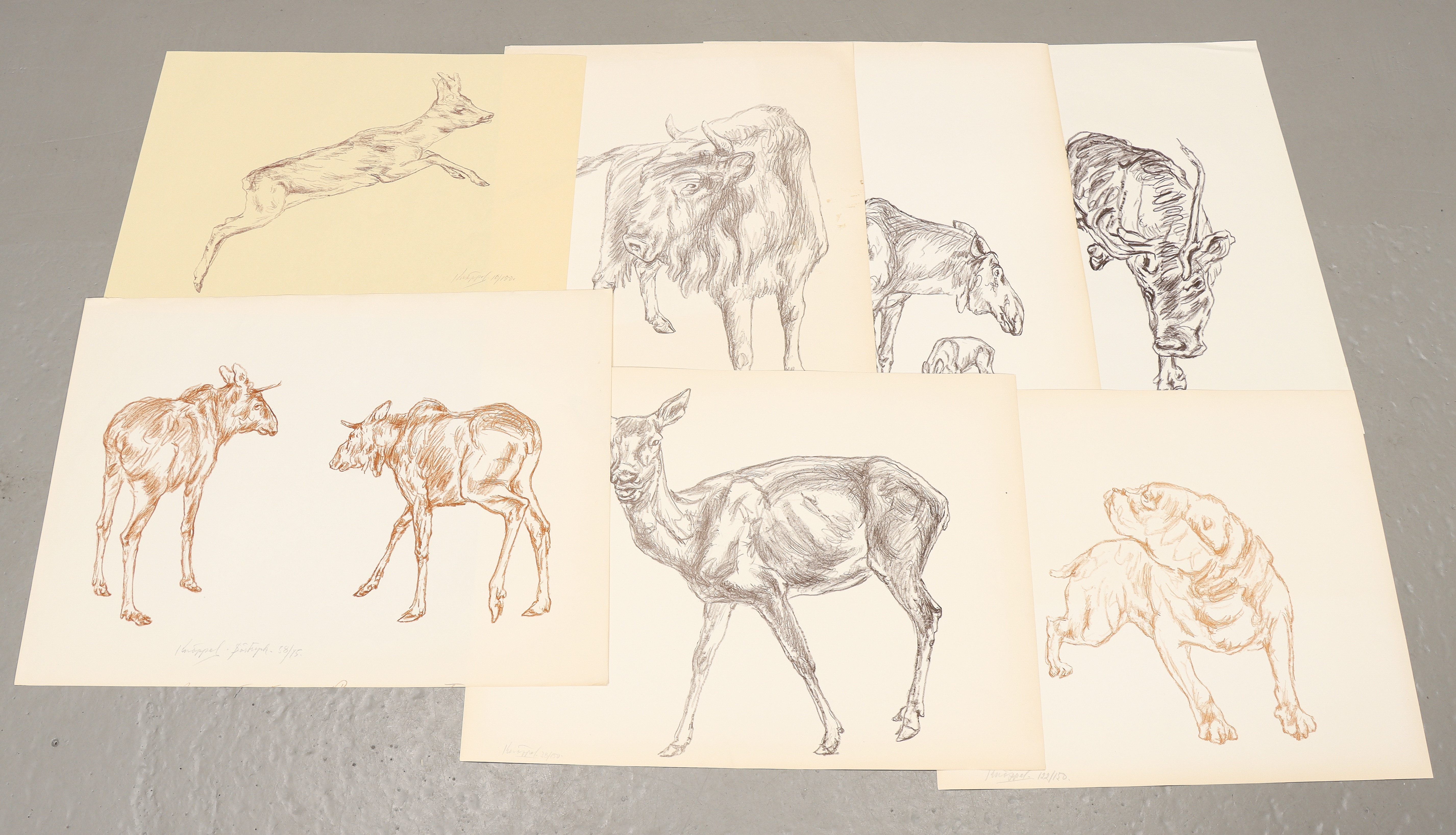 ARVID KNÖPPEL. Grafiska blad 10 stycken.