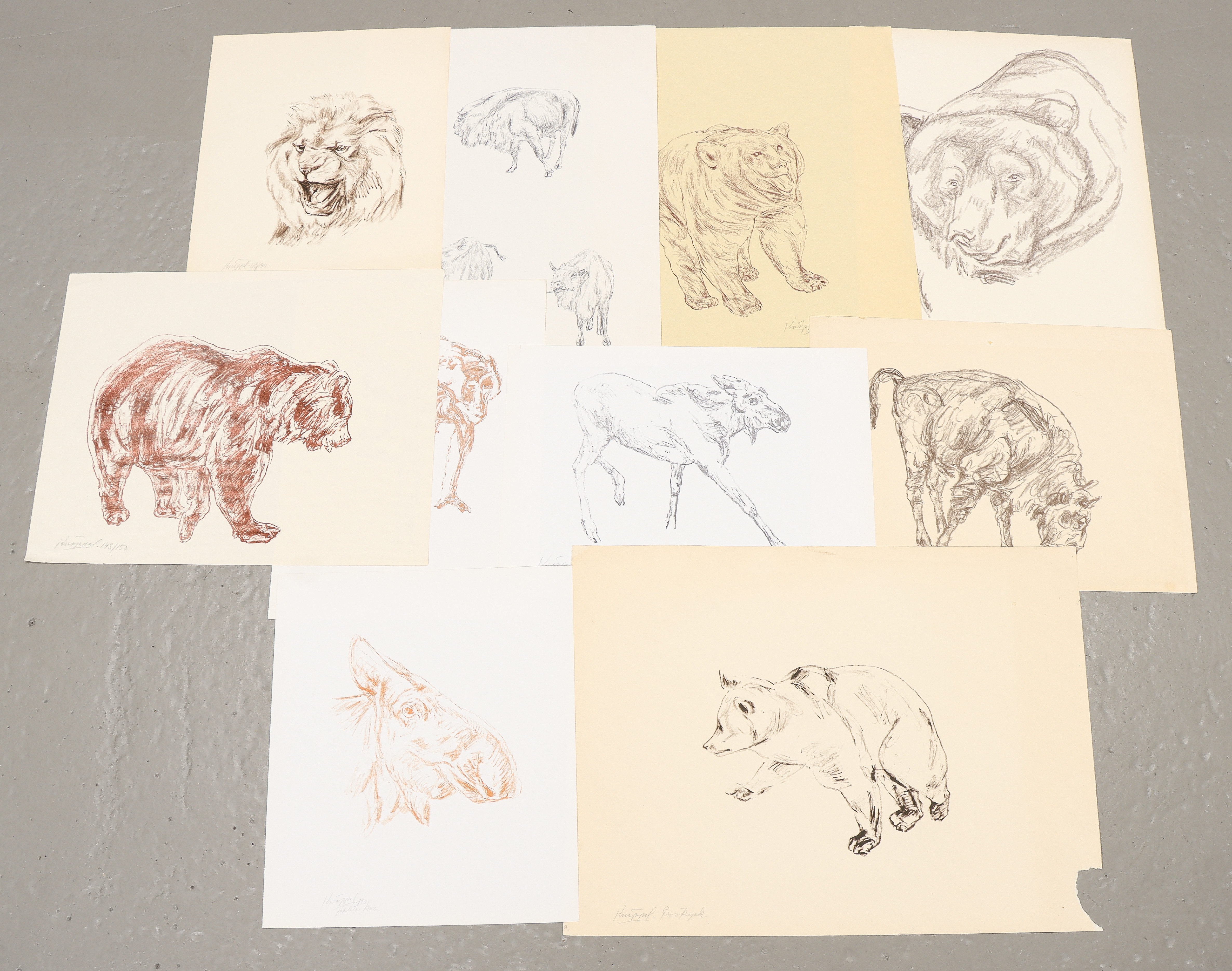 ARVID KNÖPPEL. Grafiska blad 10 stycken.