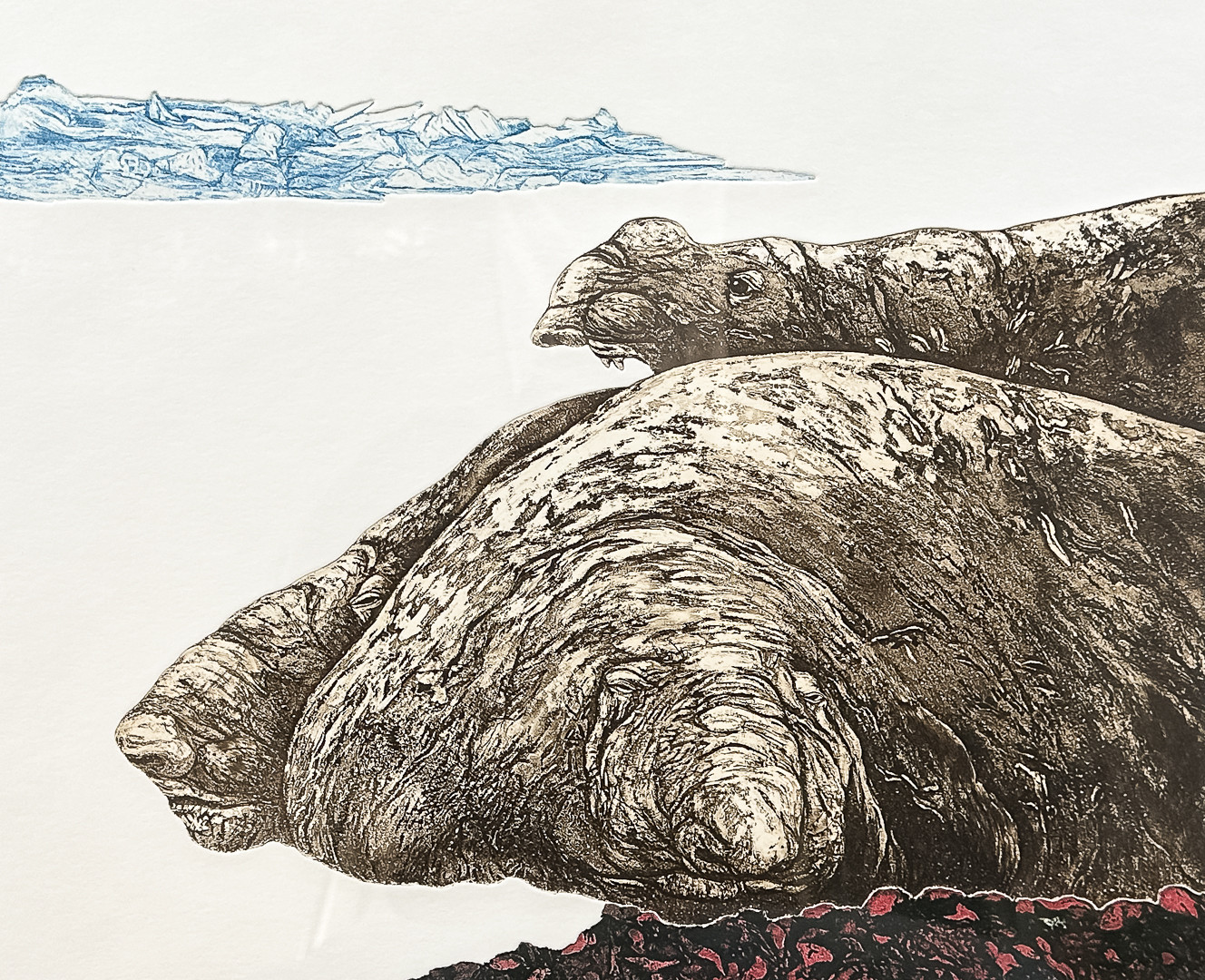 SVEN ERIK JAKOBSSON. FÄRGETSNING, "Sjöelefanter Livingston Island", signerad, numrerad, daterad-1991.