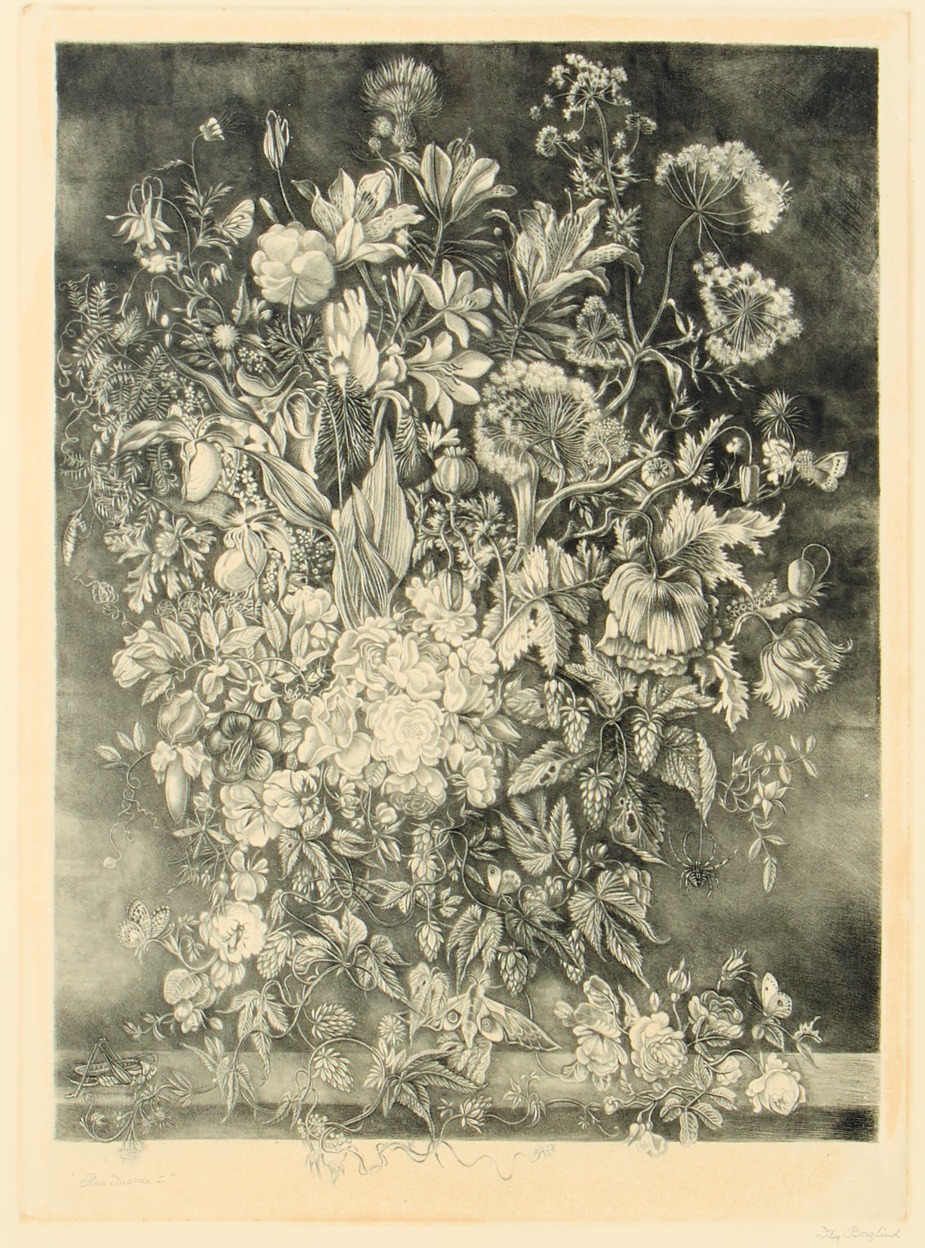 STIG BORGLIND. "Flora Suecia I".