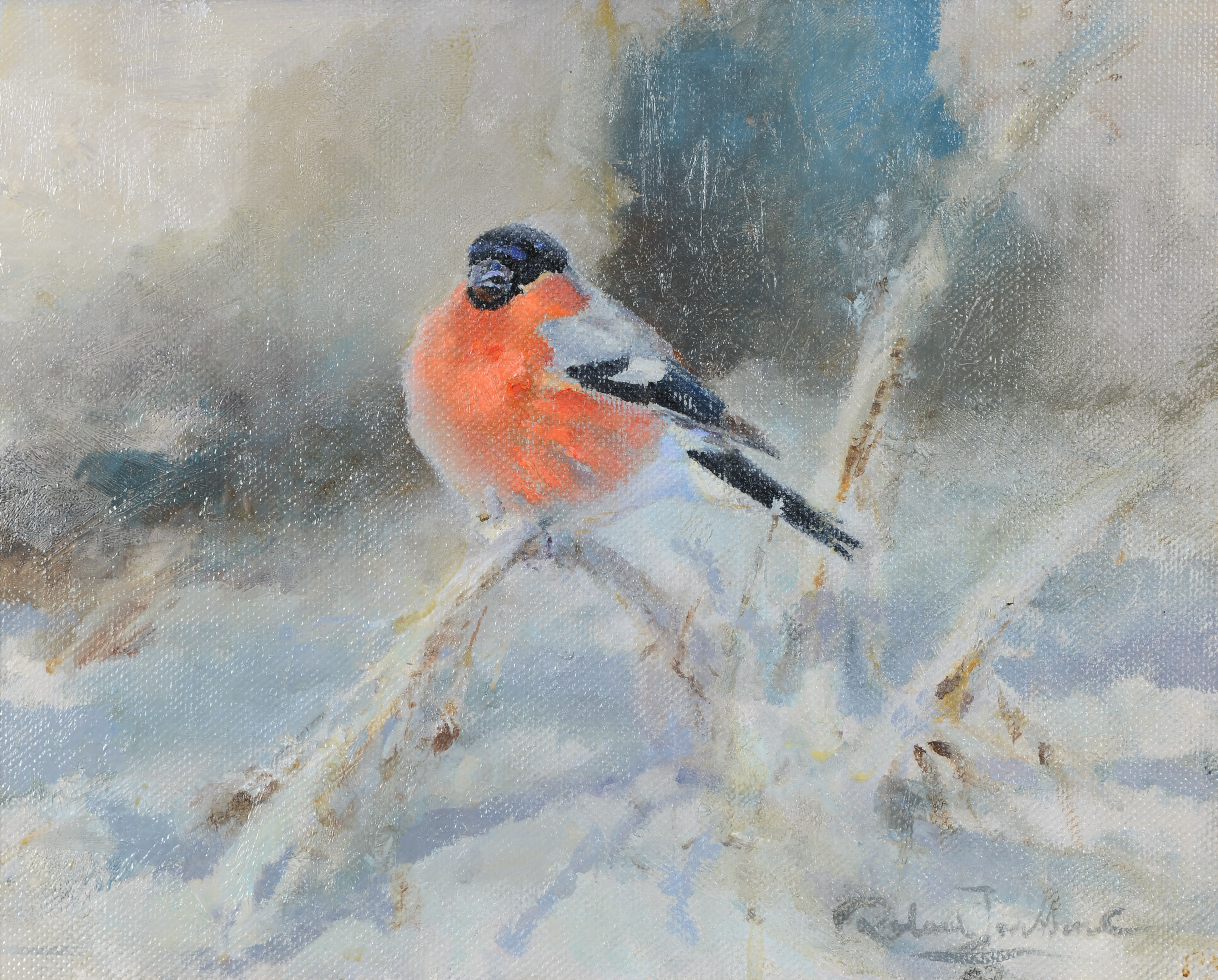 ROLAND JONSSON. Domherre, olja på duk, signerad.