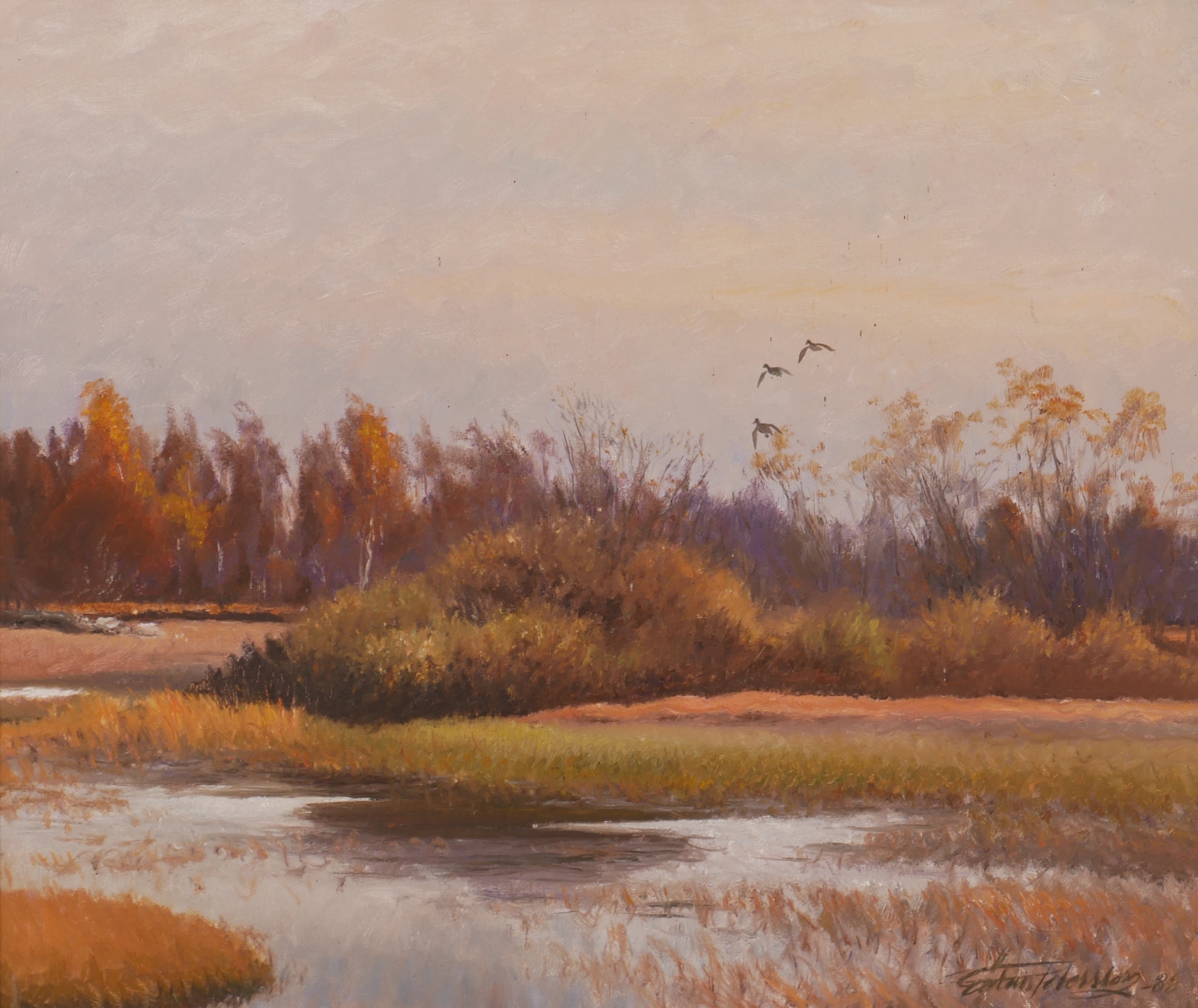 GÖRAN PETERSSON. Landskap Öland med vatten och fåglar, olja på duk, signerad Göran Petersson -88.
