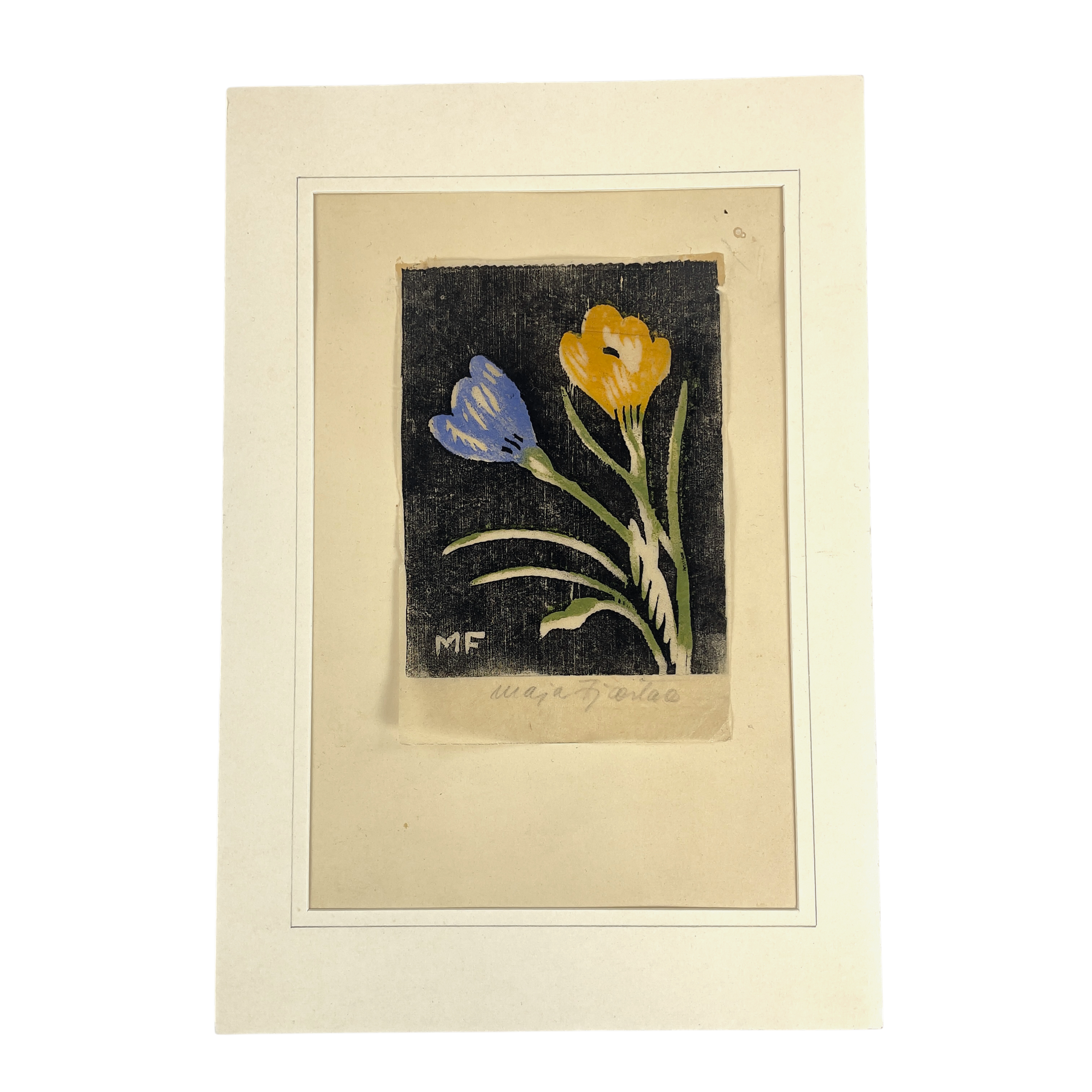 MAJA FJAESTAD. Färgträsnitt, Krokus, signerad.