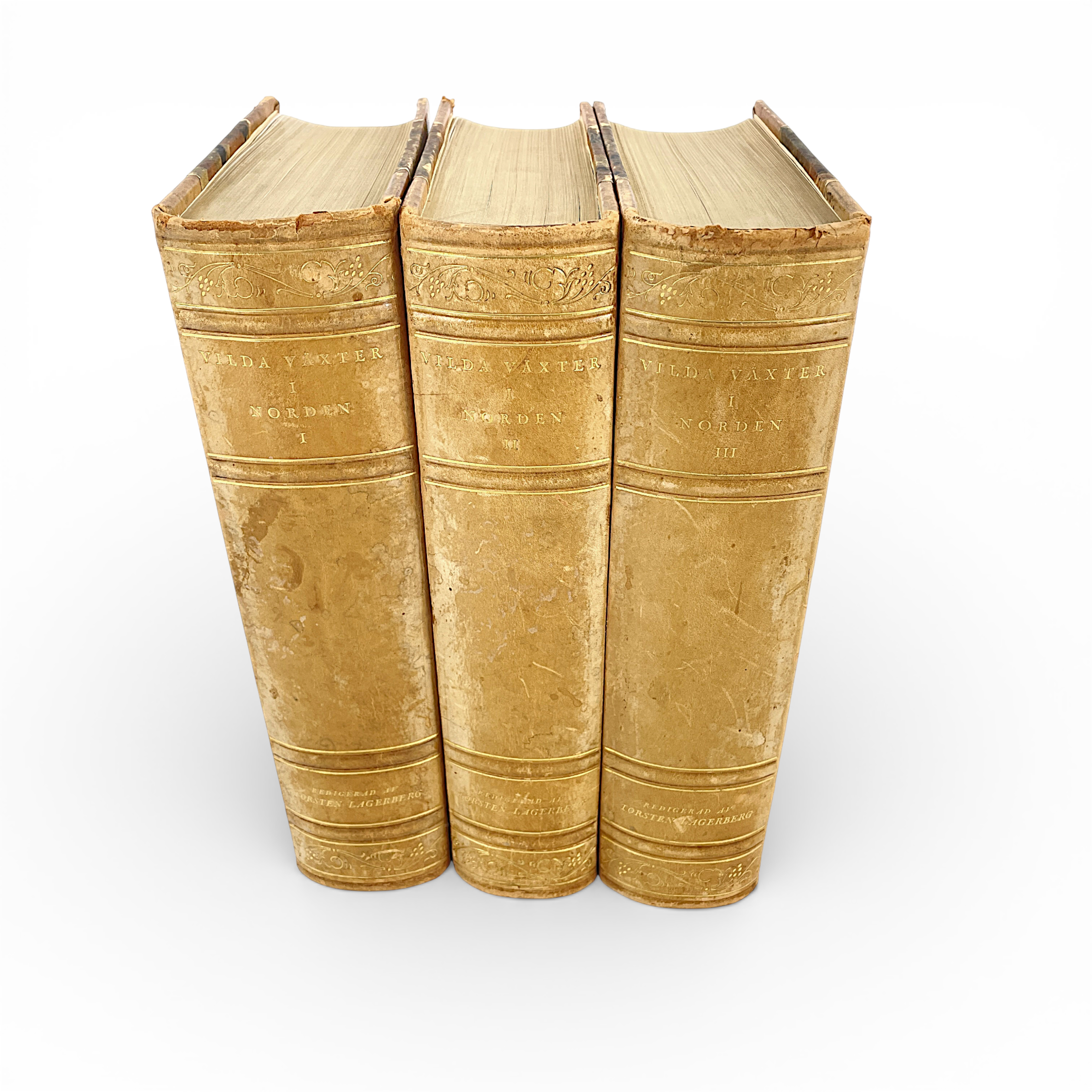 BÖCKER, 3 band, "Vilda växter i norden" av Torsten Lagerberg, Bokförlaget Natur och Kultur, Stockholm, 1937-1939.