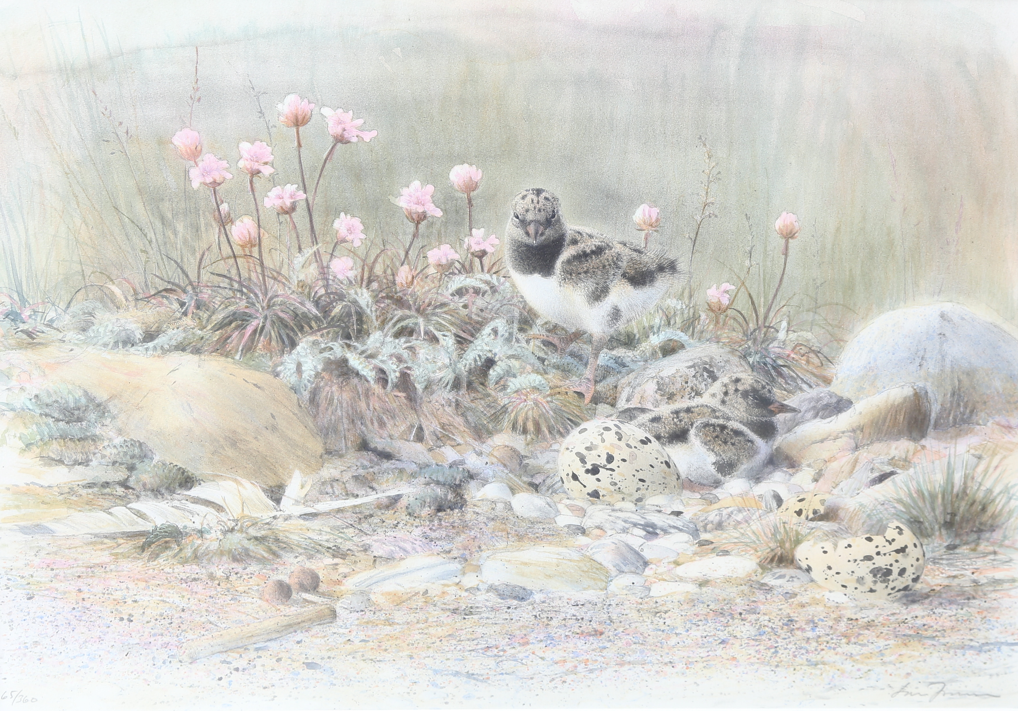 LARS JONSSON. Litografi, "Strandäng", signerad, numrerad.