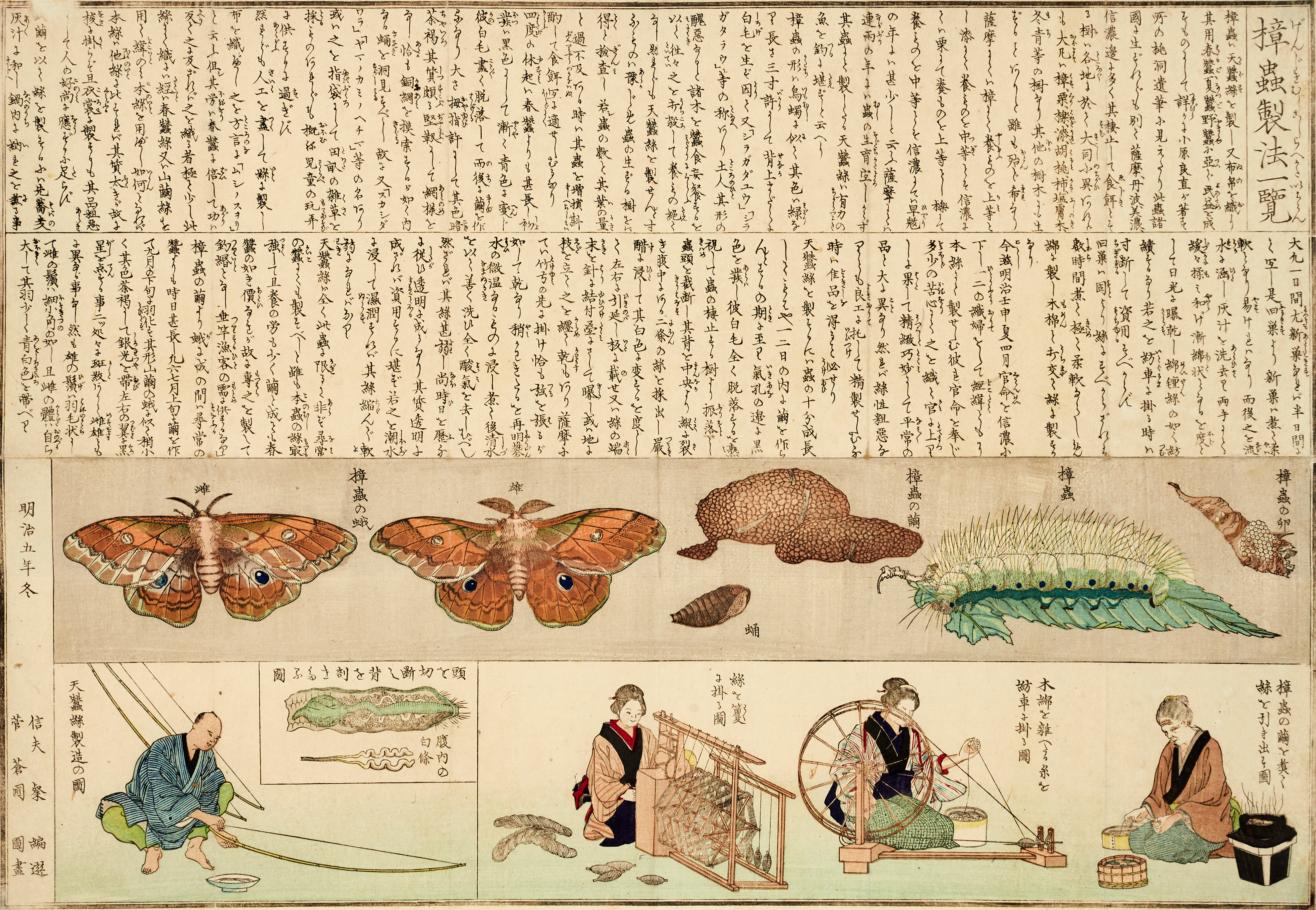 MIZOGUCHI GEKKO (aktiv 1872-73), färgträsnitt ur "The study of grasses" (Oshie gusa, av Tanba Shuji), 1872.