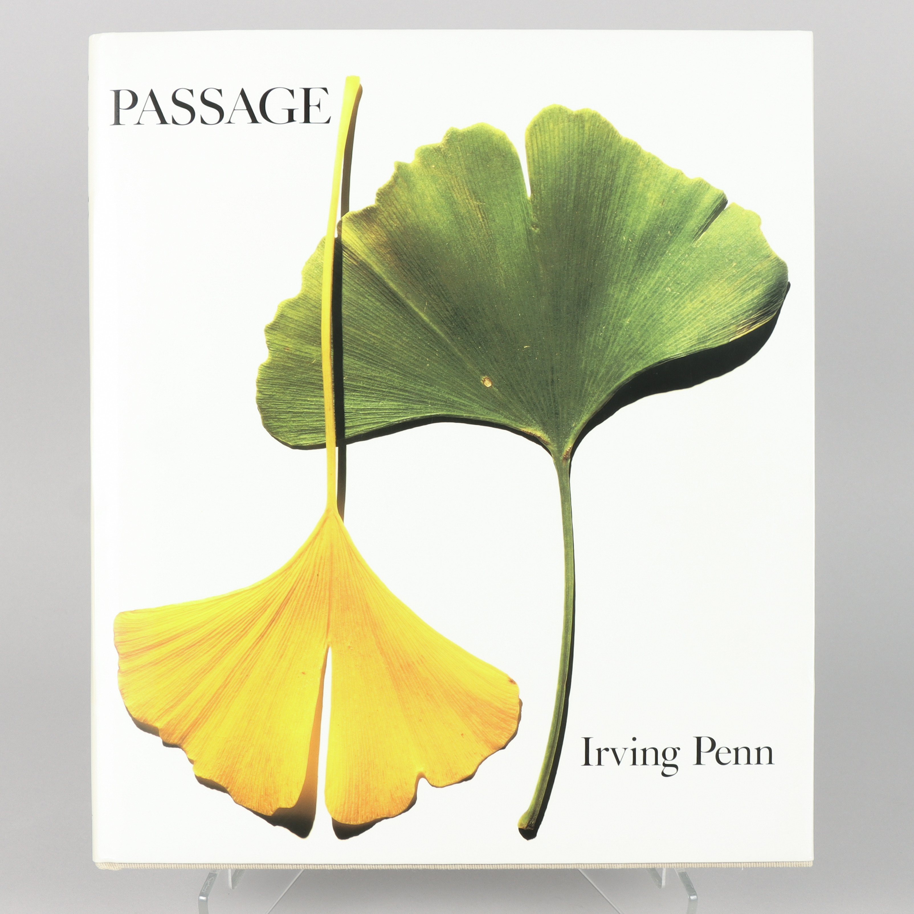 IRVING PENN. "Passage a work record".