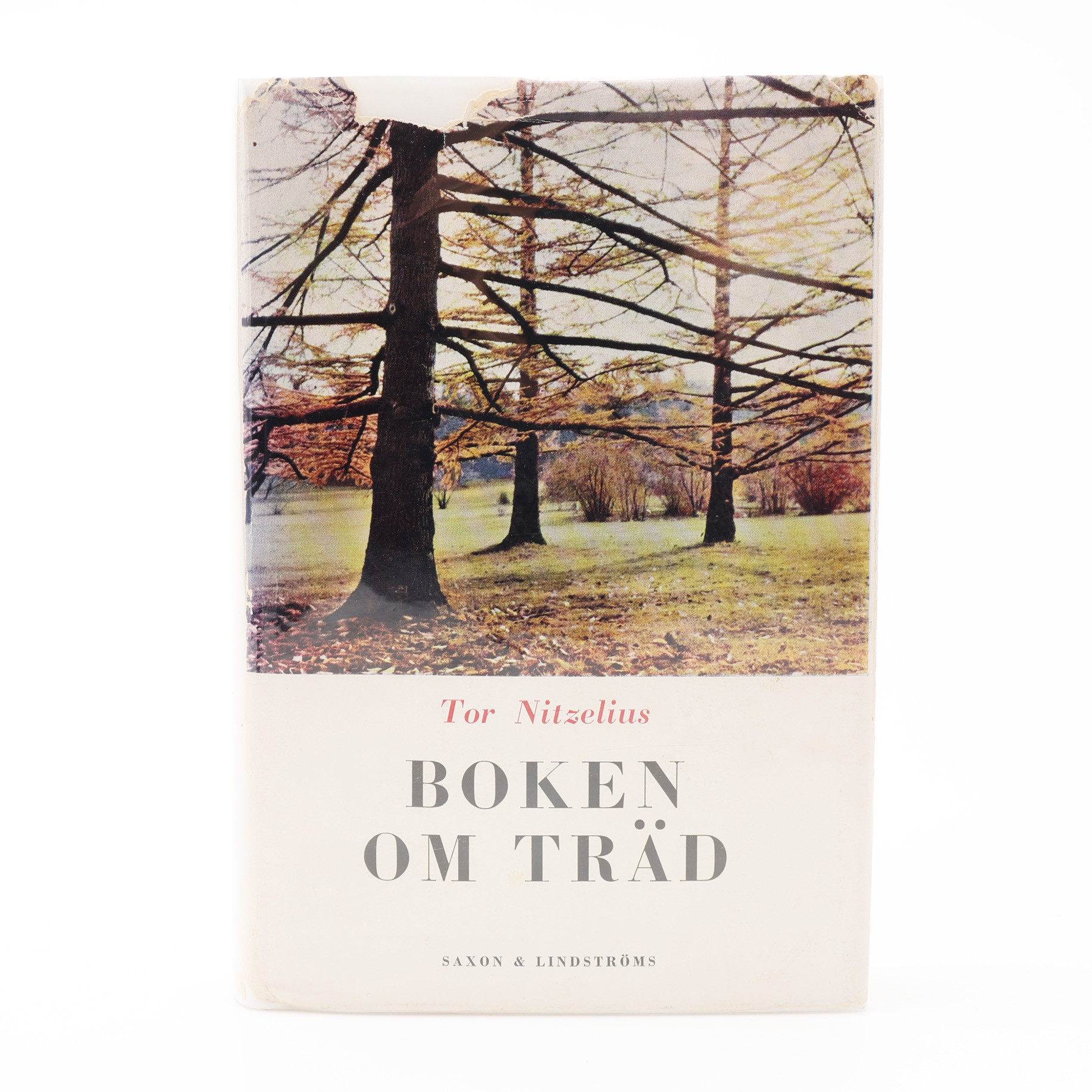 TRÄD. DENDROLOGEN TOR NITZELIUS BOKEN OM TRÄD ILLUSTRERAD MED 31 KOLORERADE PLANSCHER OCH SVART-VITA REPRODUKTIONER.