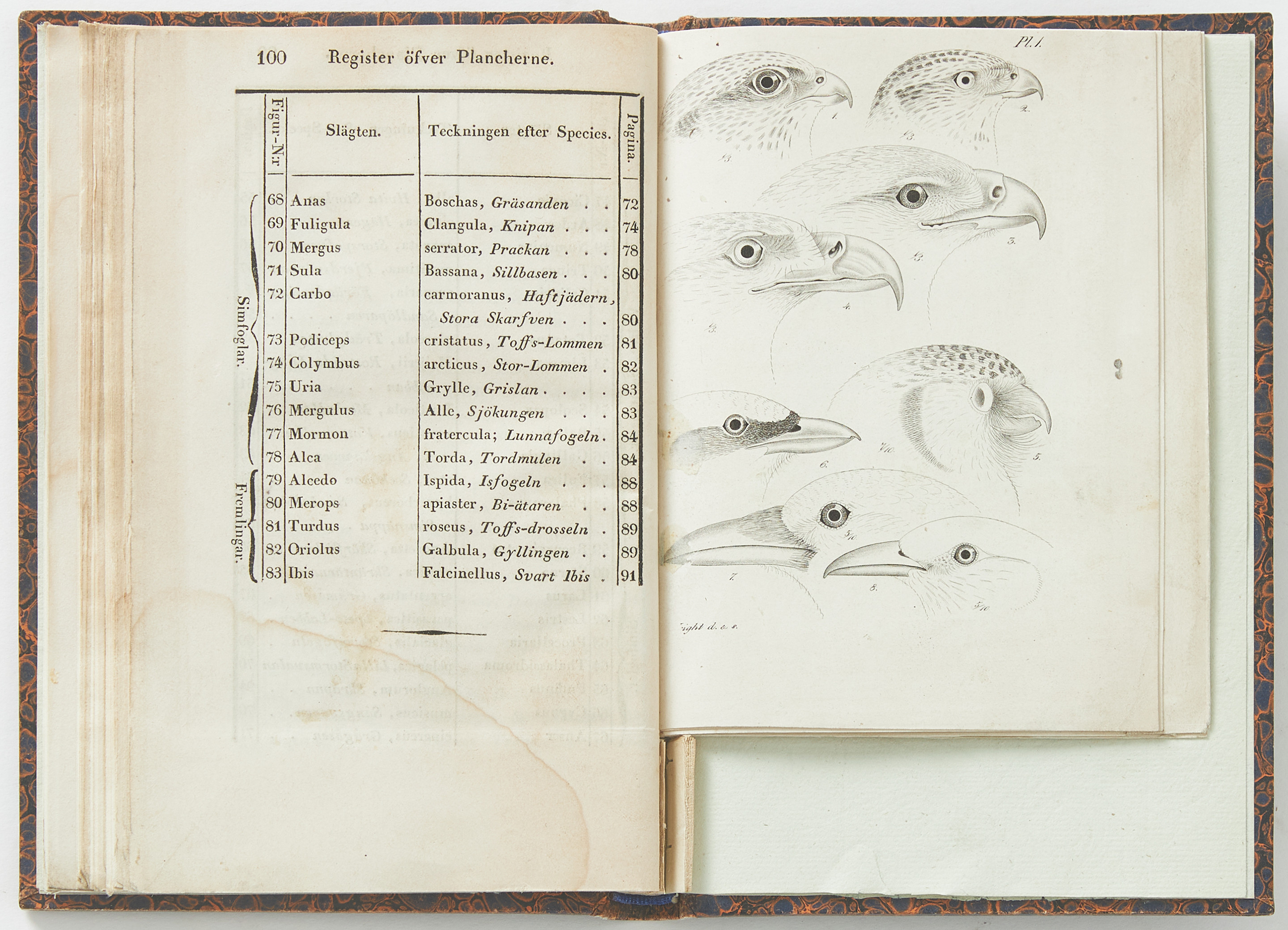 SÄLLSYNT ARBETE OM FÅGELNÄBBAR MED ILLUSTRATIONER AV WILHELM VON WRIGHT 1839.