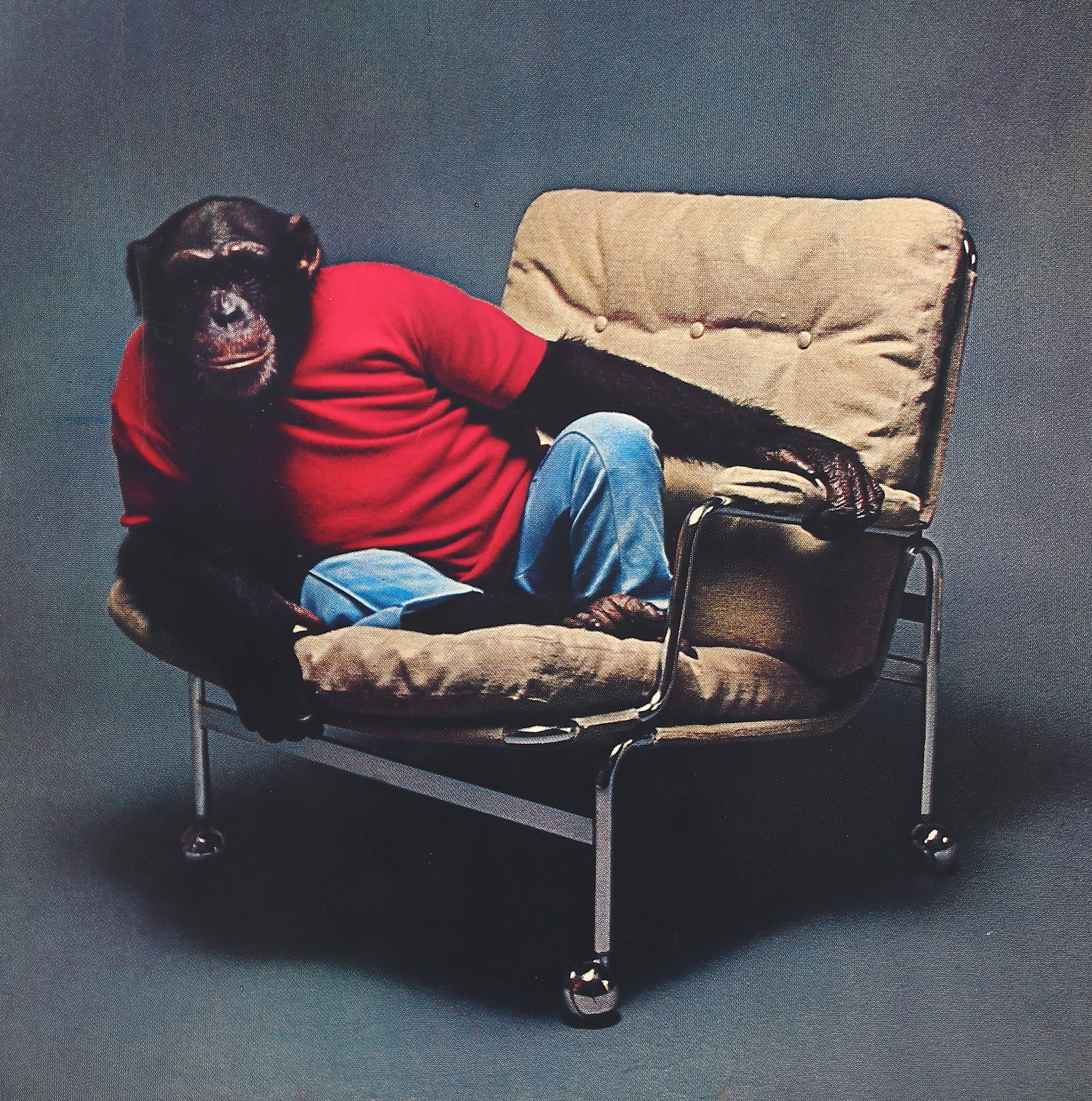 PER-HENRY RICHTER. reklamaffisch/poster, Det är roligt att vara efterapad. För då vet man att man är bäst, Dux, 1970-tal.