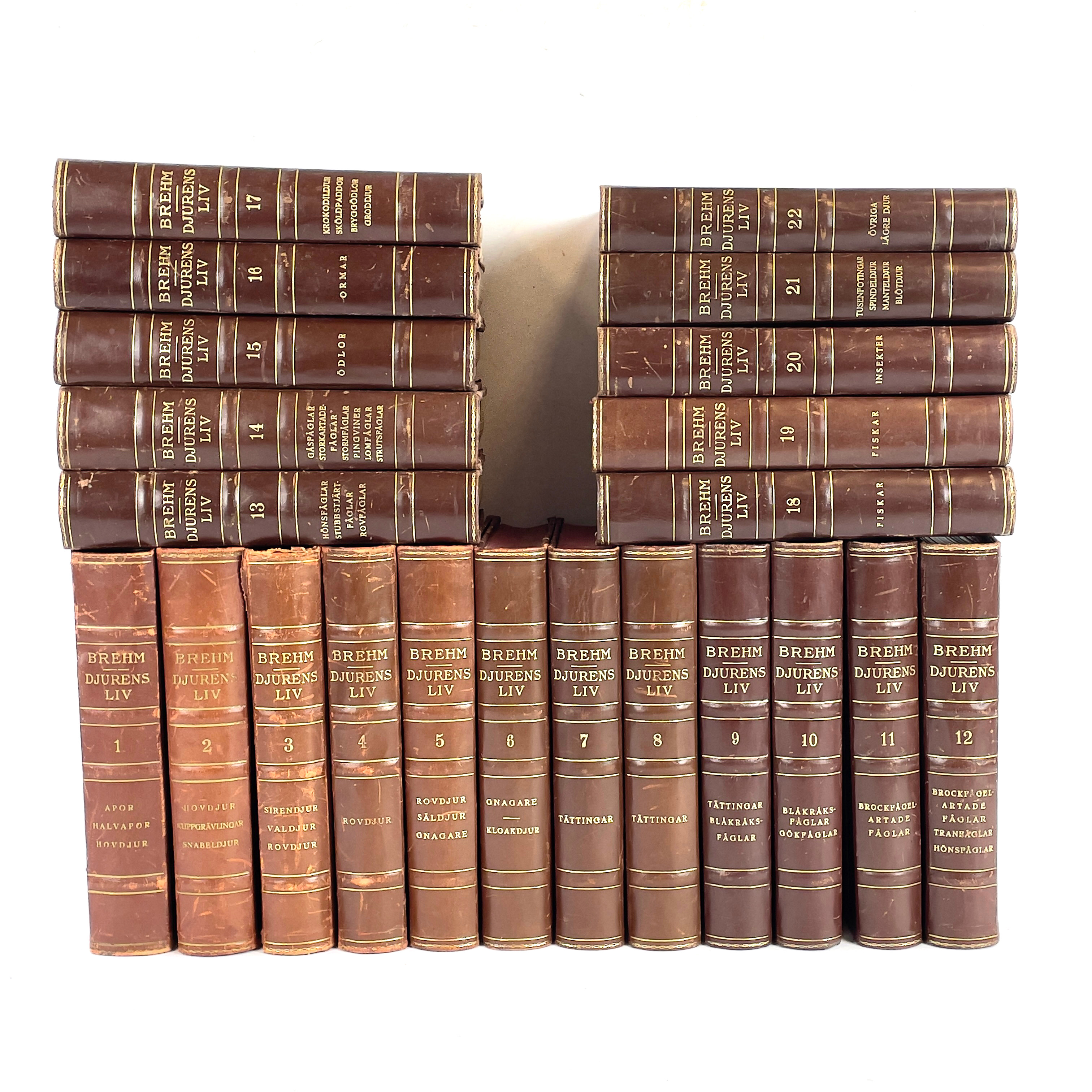 BÖCKER, 22 band, "Djurens liv", A. E. Brehm, Världslitteraturens Förlag, 1929-31.
