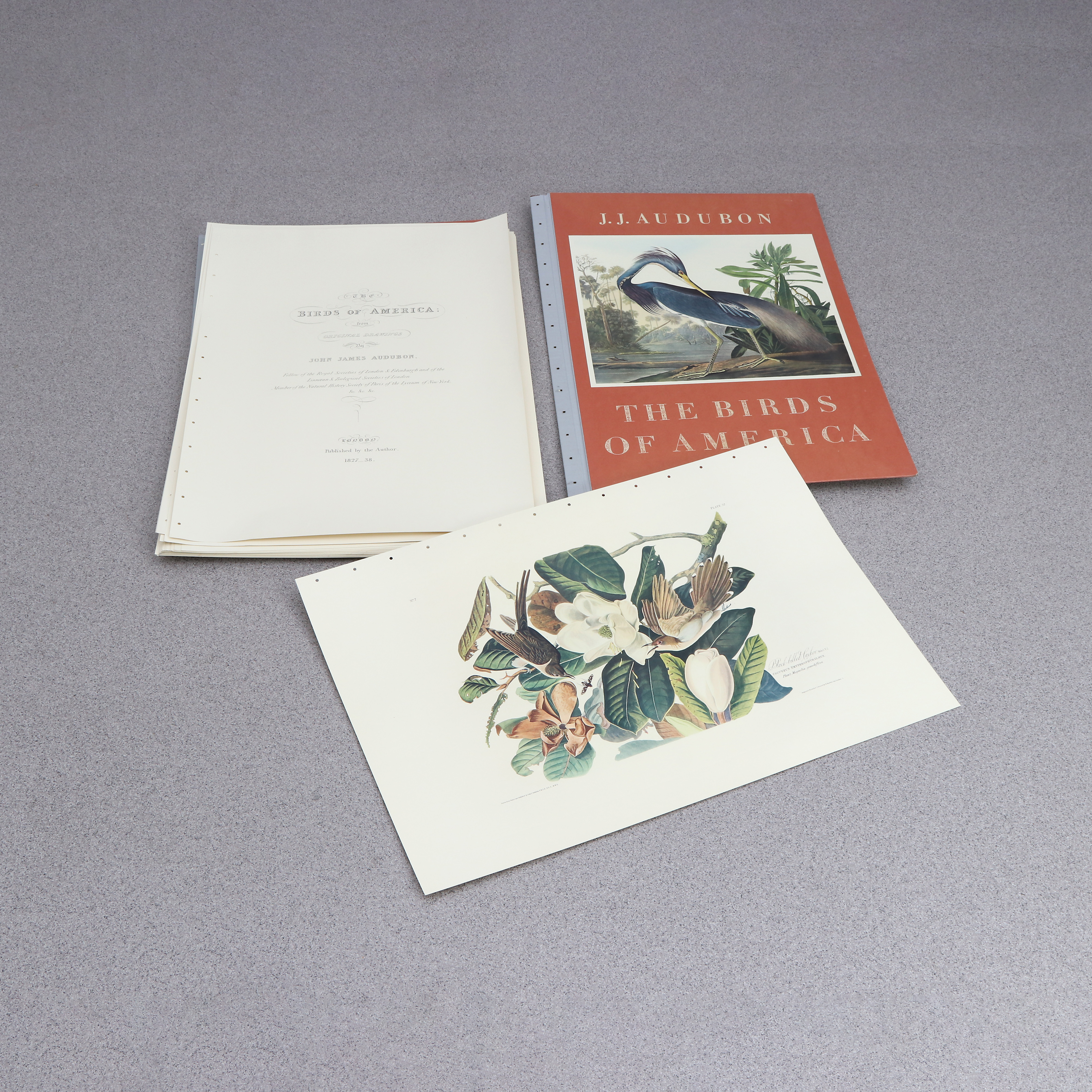 JOHN JAMES AUDUBON. MAPP. "The Birds of America". Innehållande faksimiler.