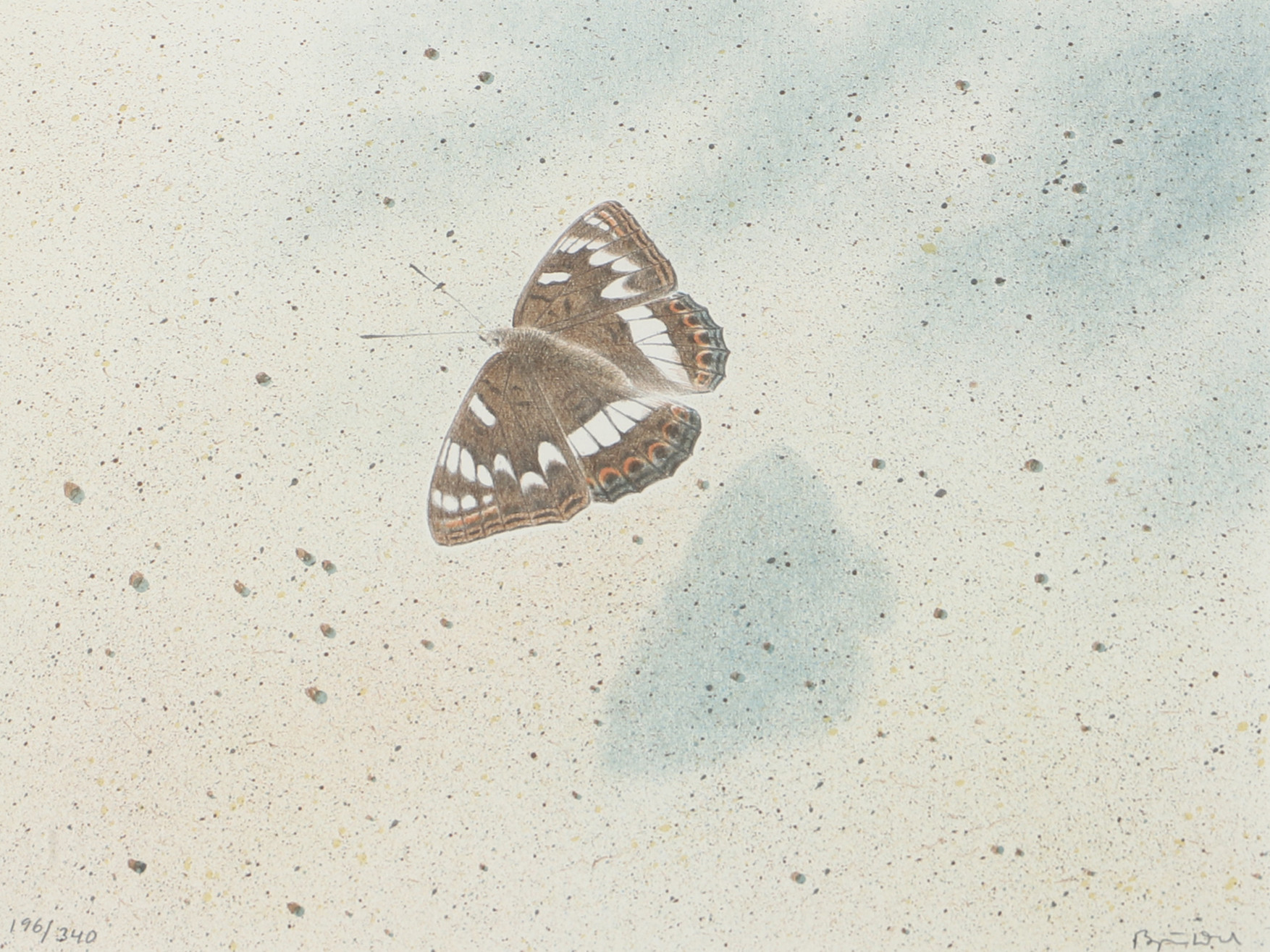 BJÖRN DAHL. Komposition med fjäril, färglitografi, signerad.