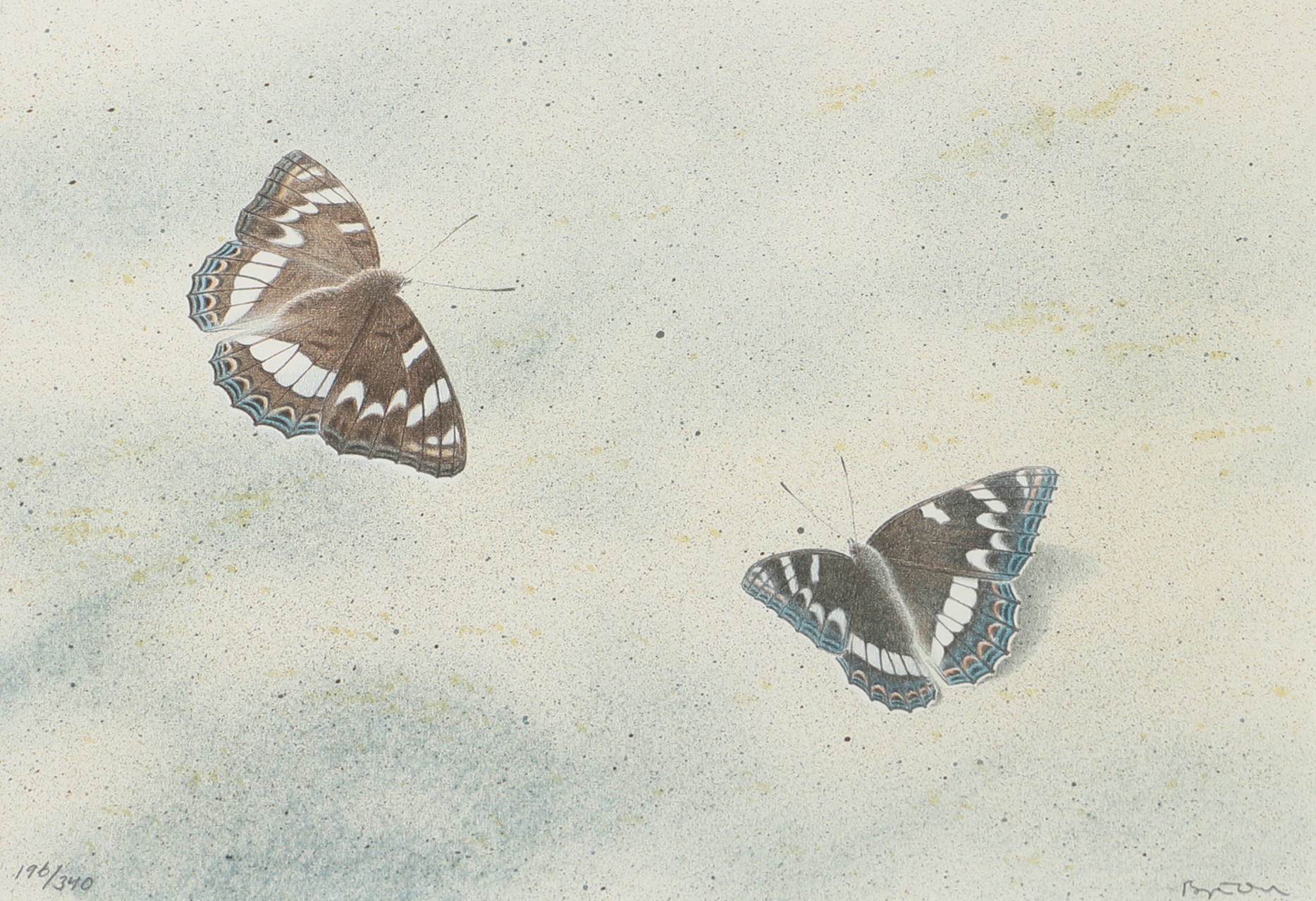 BJÖRN DAHL. Komposition med fjäril, färglitografi, signerad.