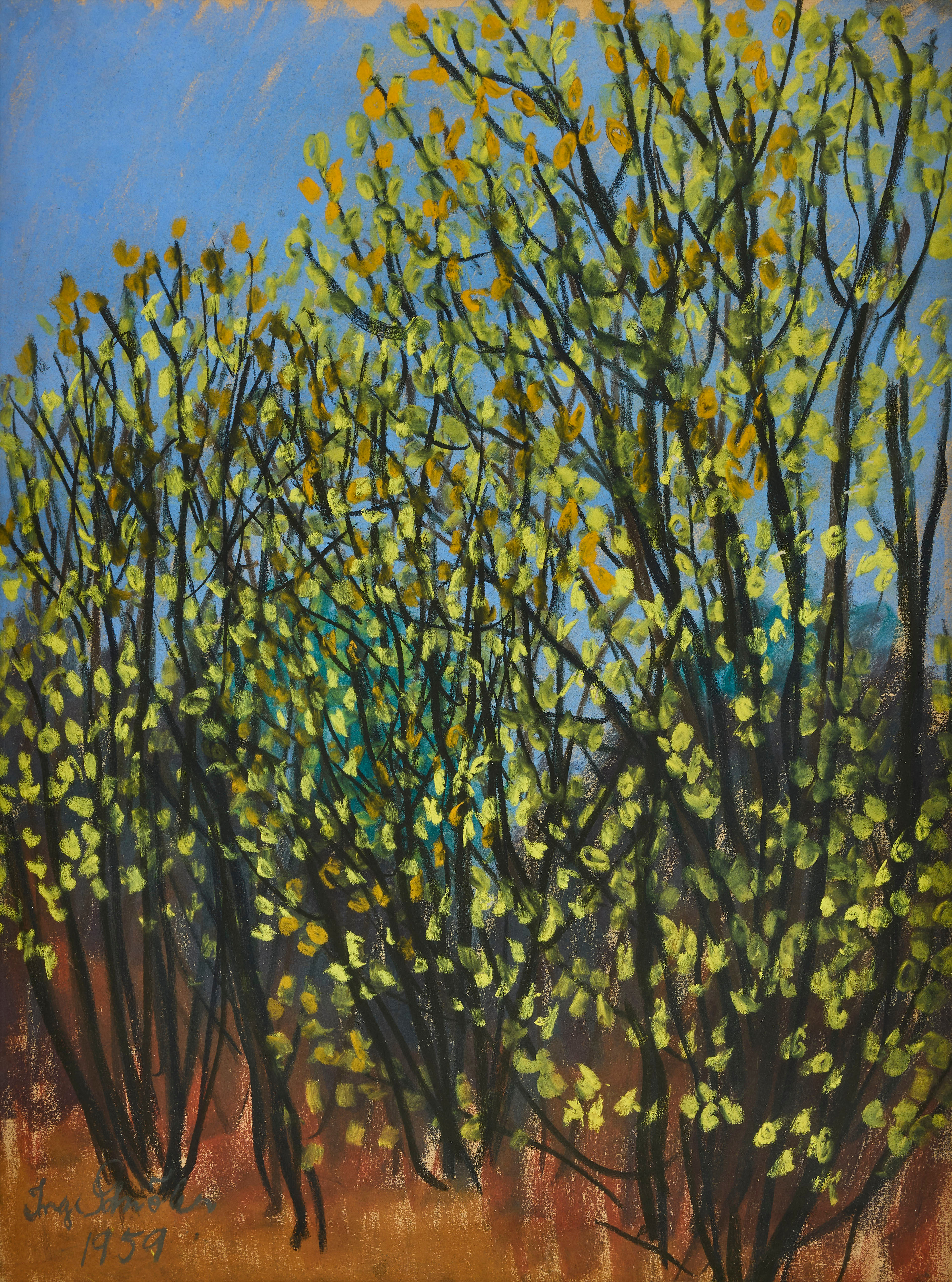 INGE SCHIÖLER. Träd.