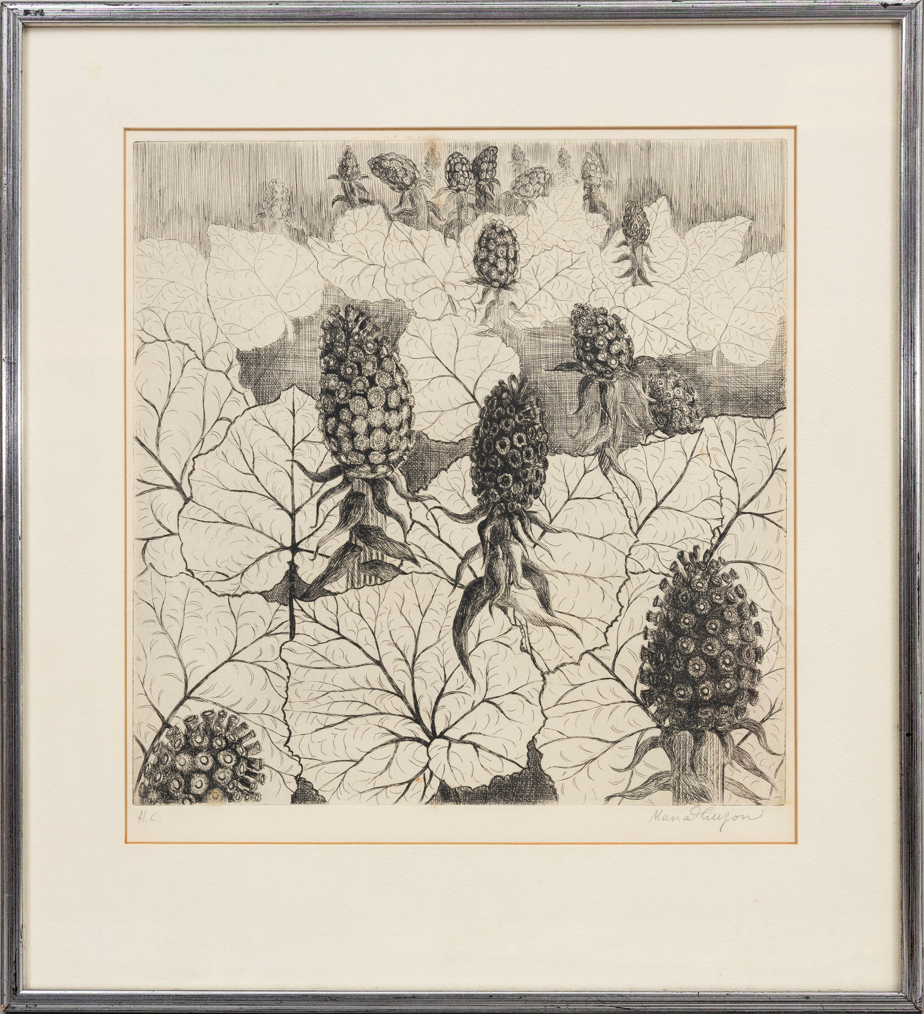 MARIA HILLFON. Floral komposition, etsning, signerad, H.C.
