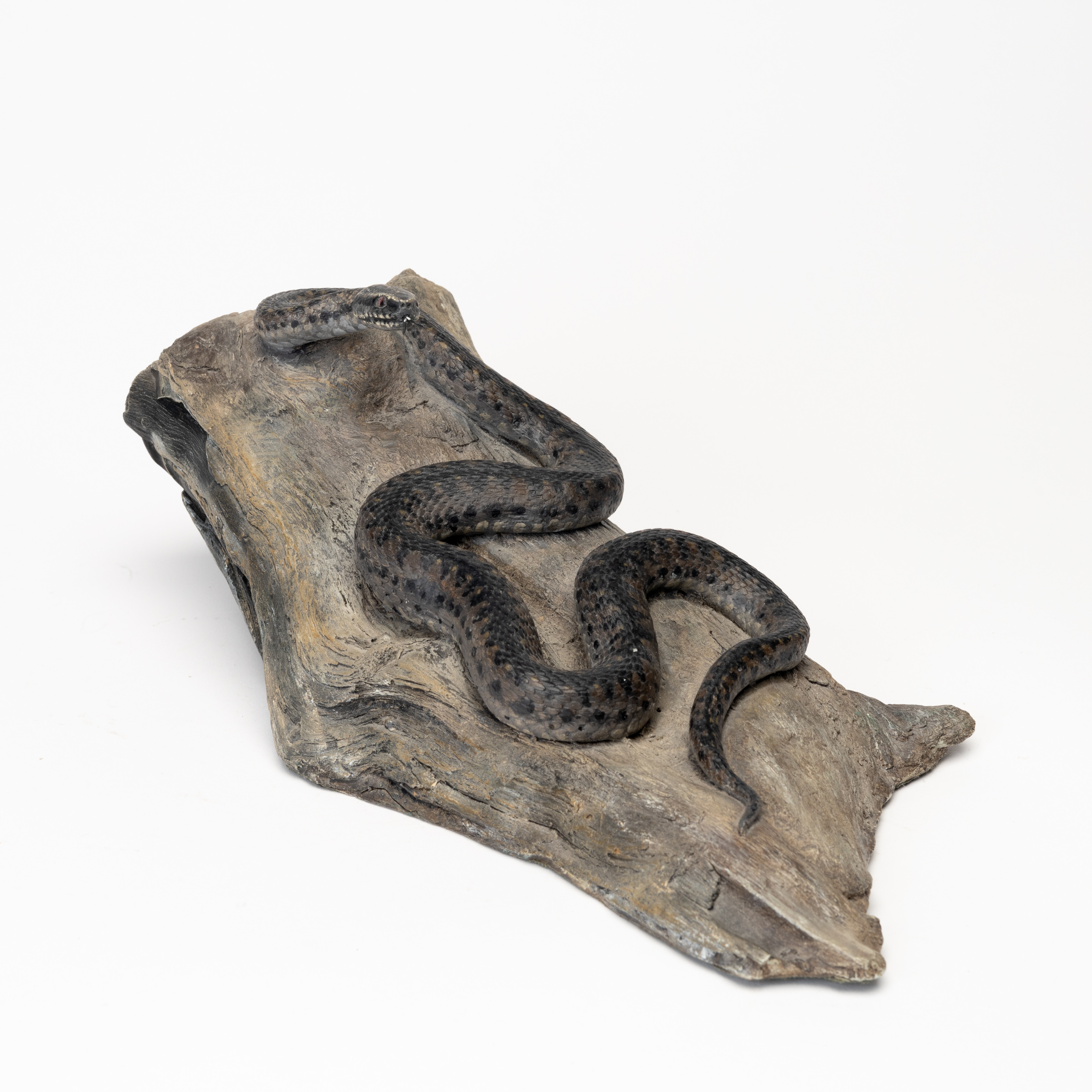 ORMSTUDIE, huggorm, konstmaterial, signerad Tore Hanson.