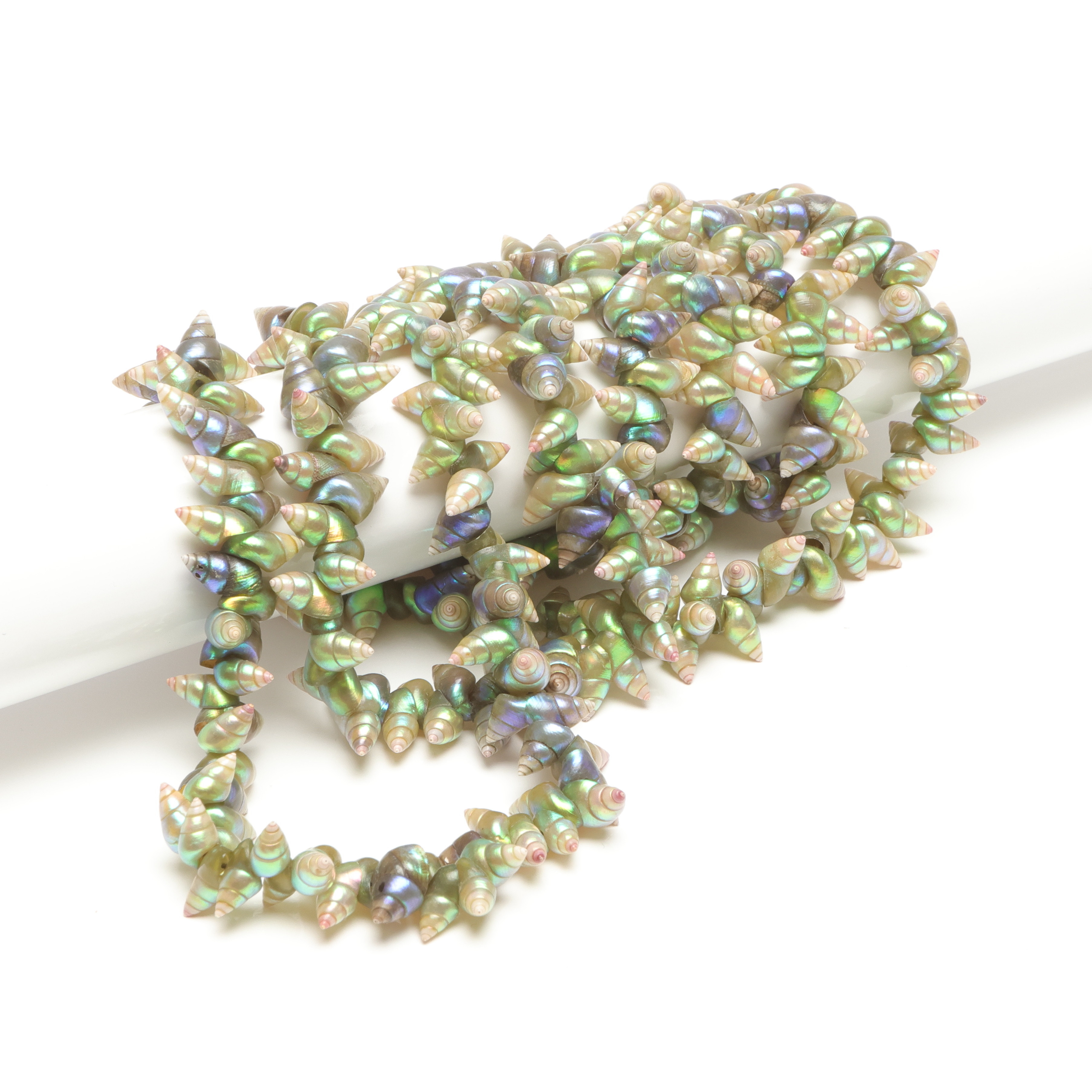 COLLIER, av snäckor, 1900-tal.