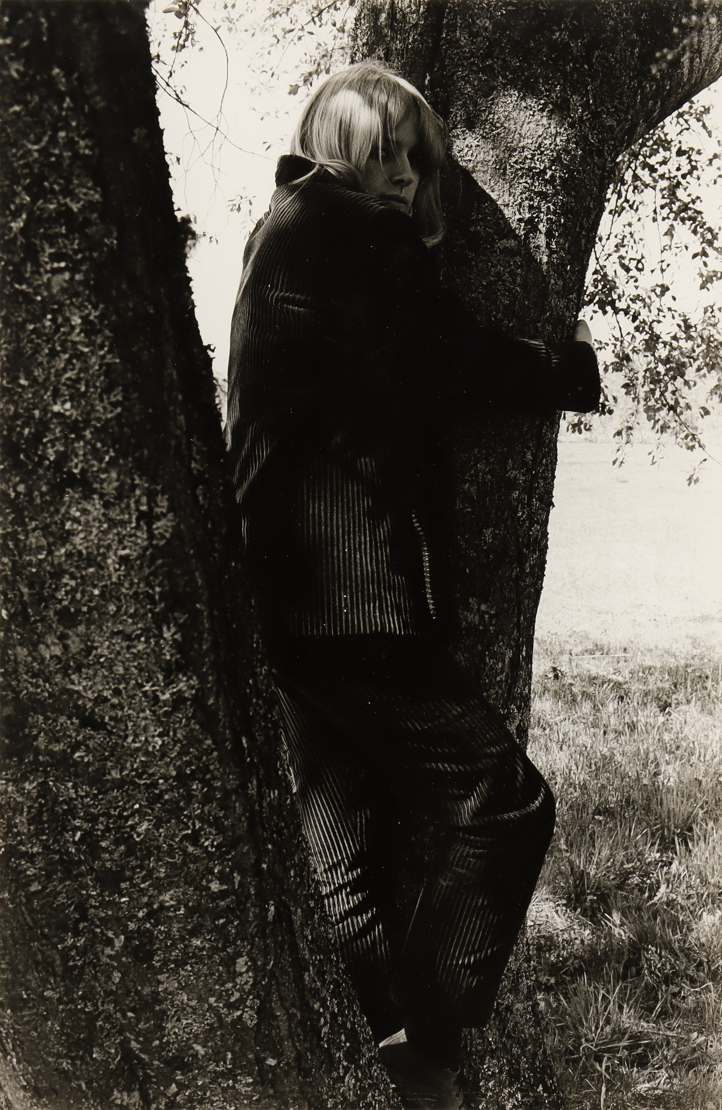 NILS-ERIK WIKEBÄCK. Kvinna i träd.