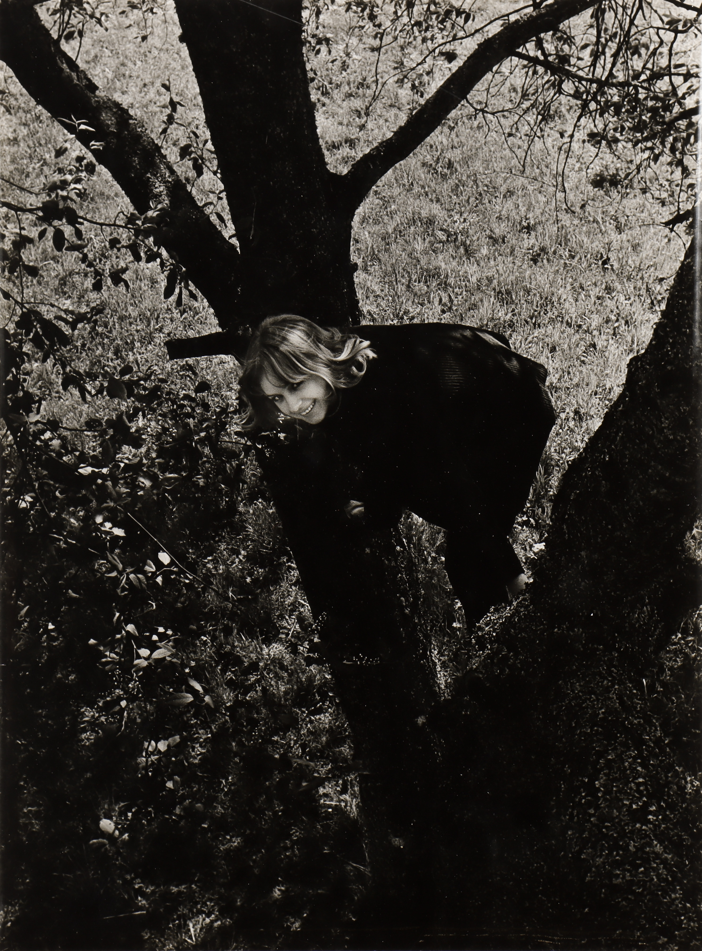 NILS-ERIK WIKEBÄCK. Kvinna i träd.