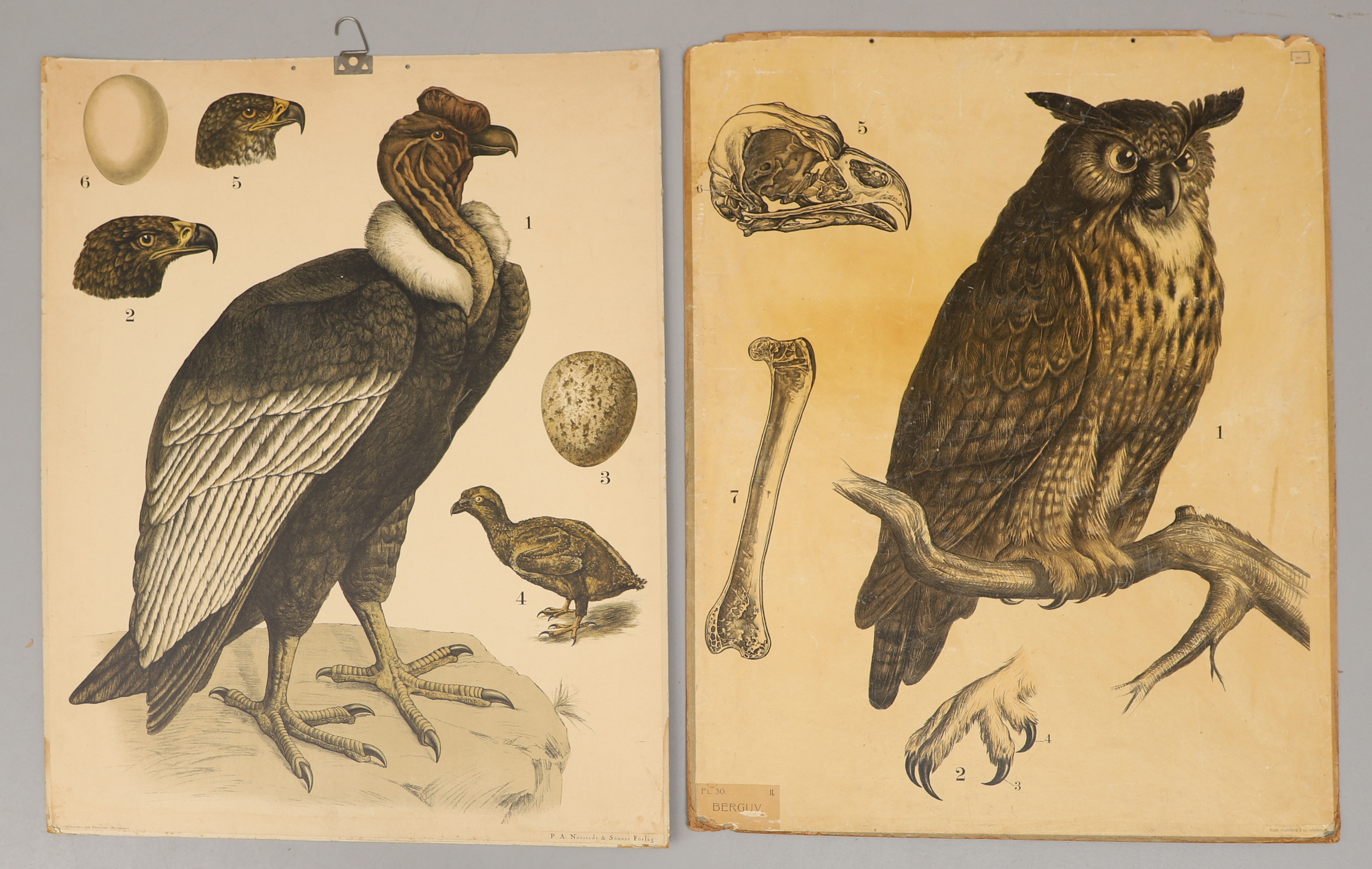 SKOLPLANSCHER, 2 st, Frans Svanström & Co resp. P.A. Norstedt & Söner.