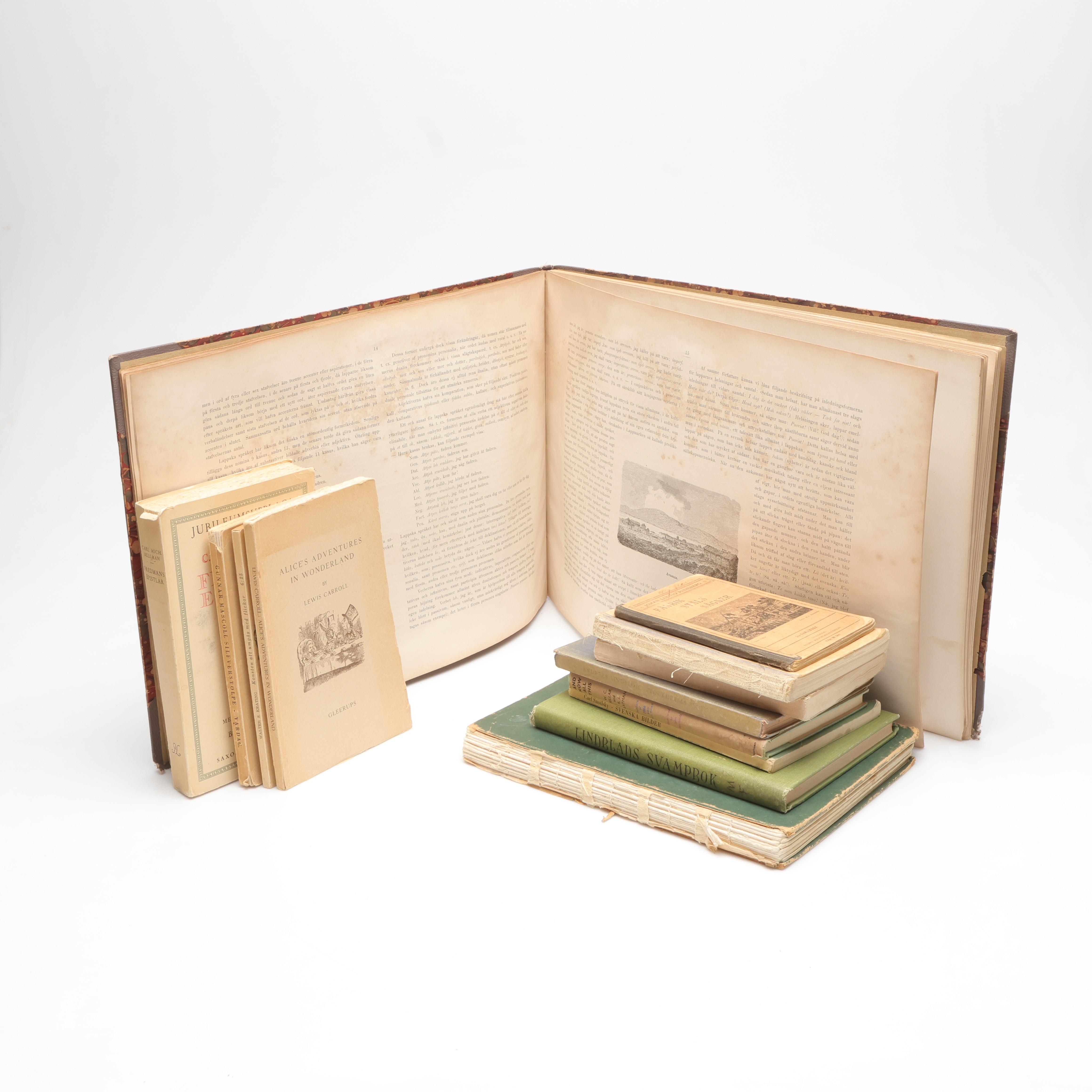 BÖCKER, 13st, b.la. Carl Anders Pettersson, "Lappland" och Alice's Adventures in Wonderland.
