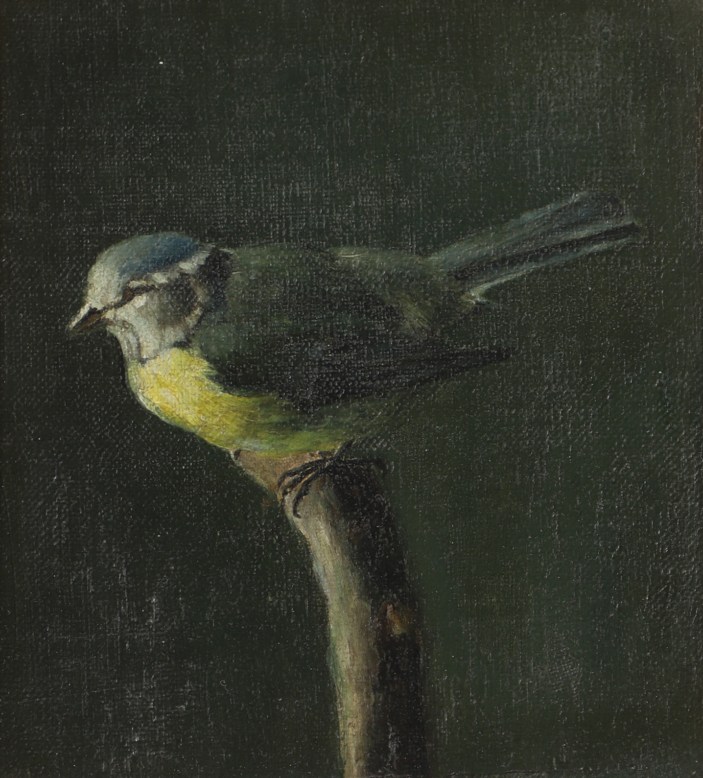 OIDENTIFIERAD KONSTNÄR. Blåmes, olja på kartong, osignerad.