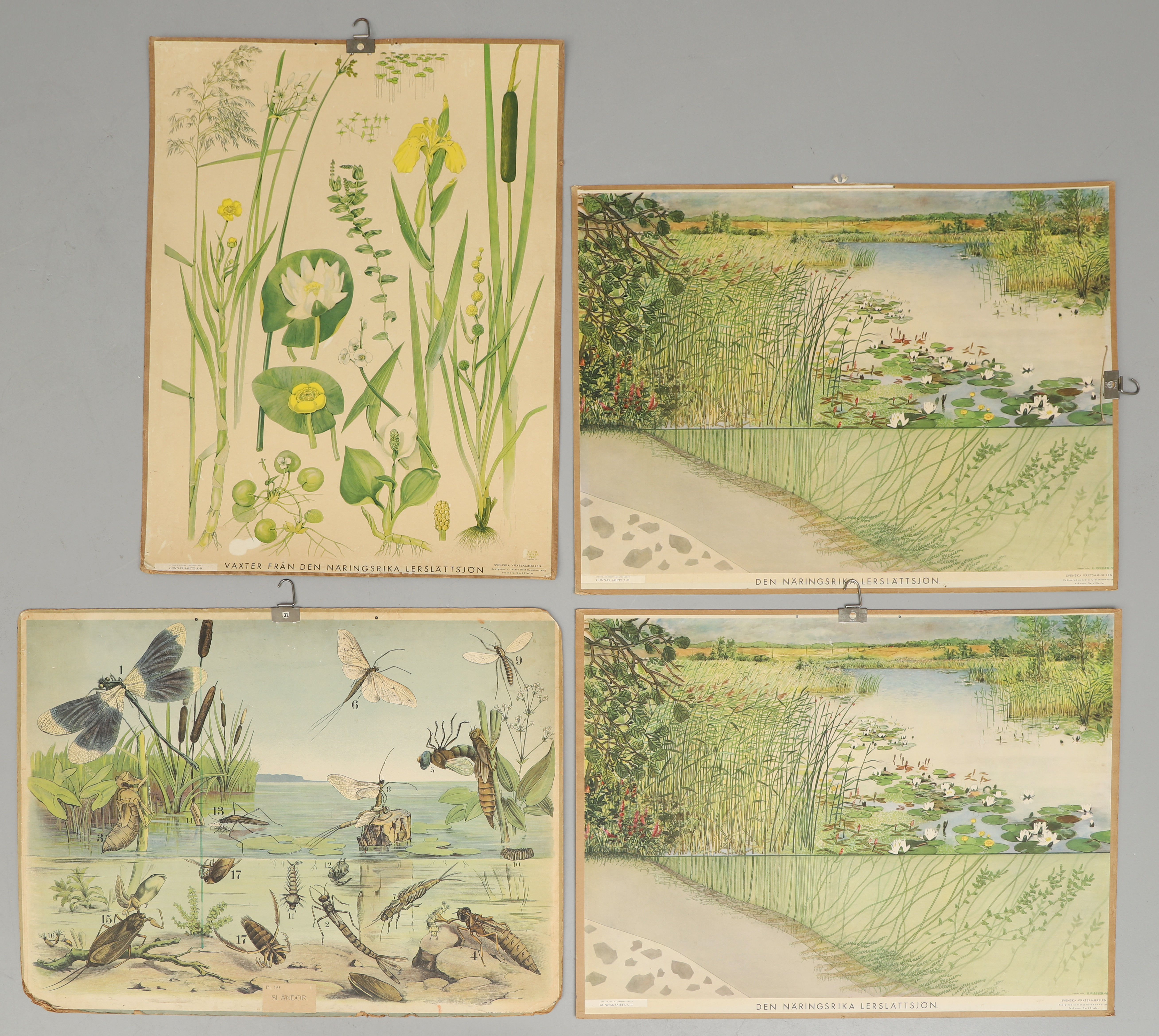 SKOLPLANSCHER, 4 st, bl.a. Gunnar Saietz.