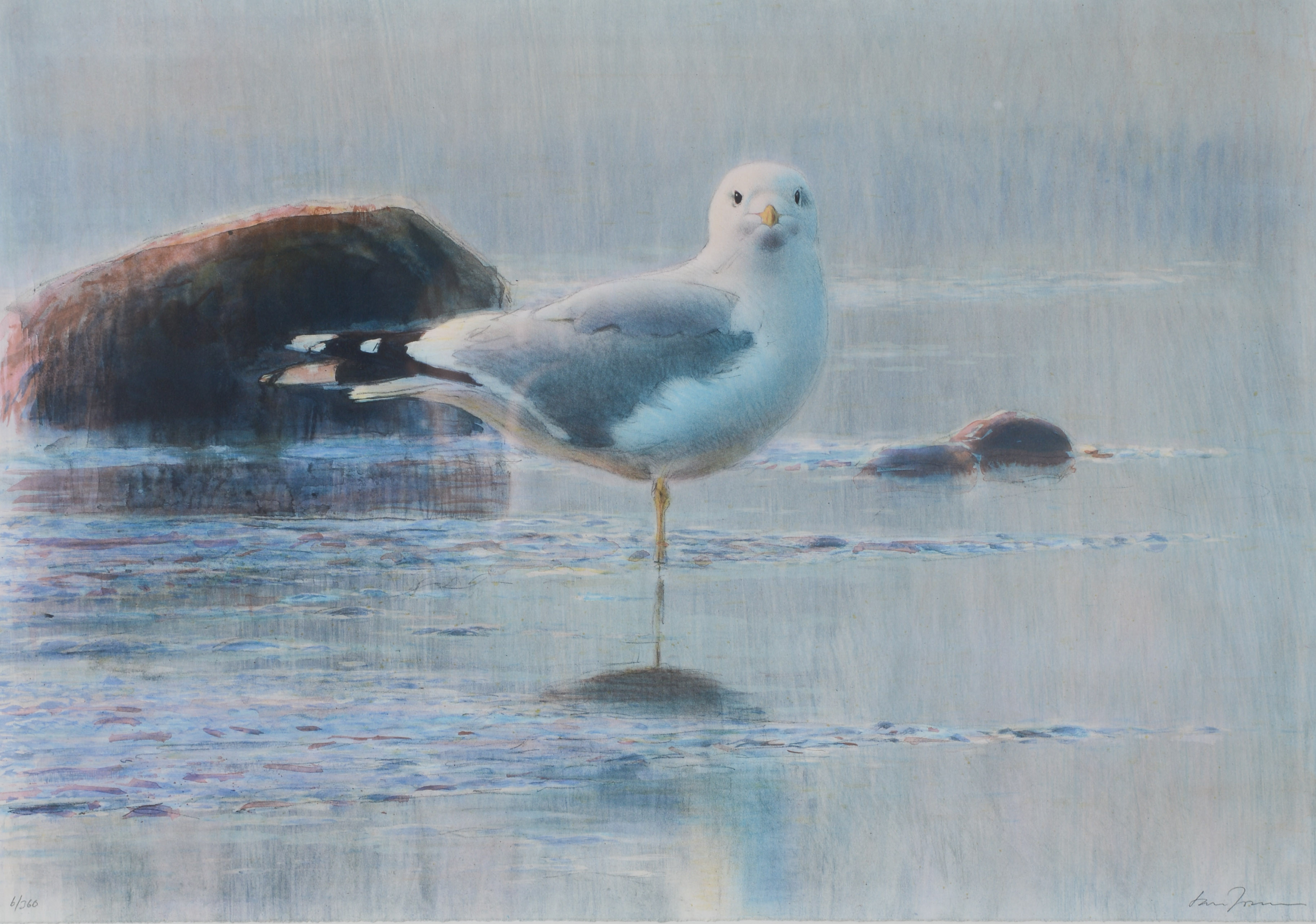 LARS JONSSON. Fågelmotiv, färglitografi, signerad samt numrerad 6/360.