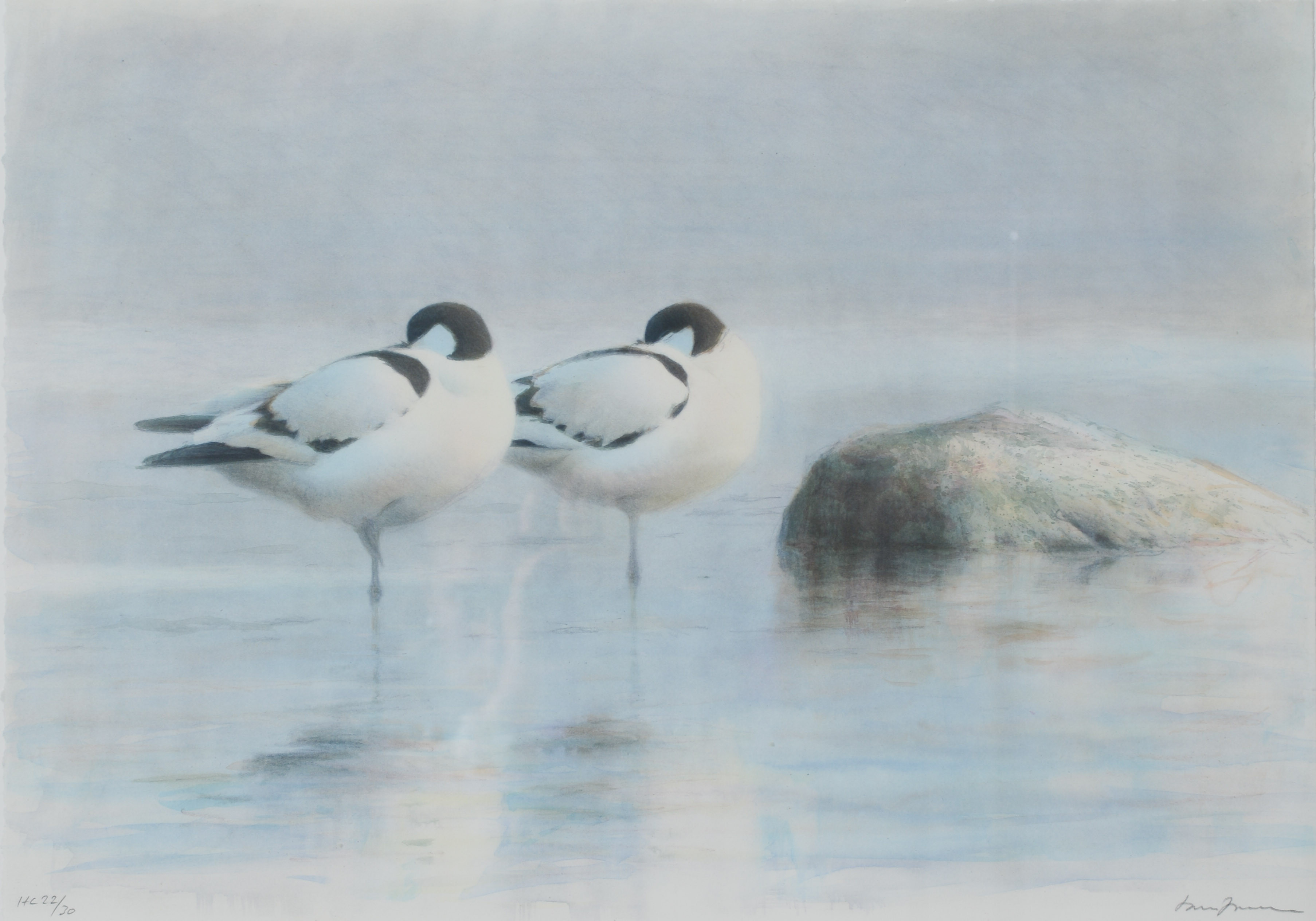 LARS JONSSON. Fågelmotiv, färglitografi, signerad samt numrerad HC 22/30.