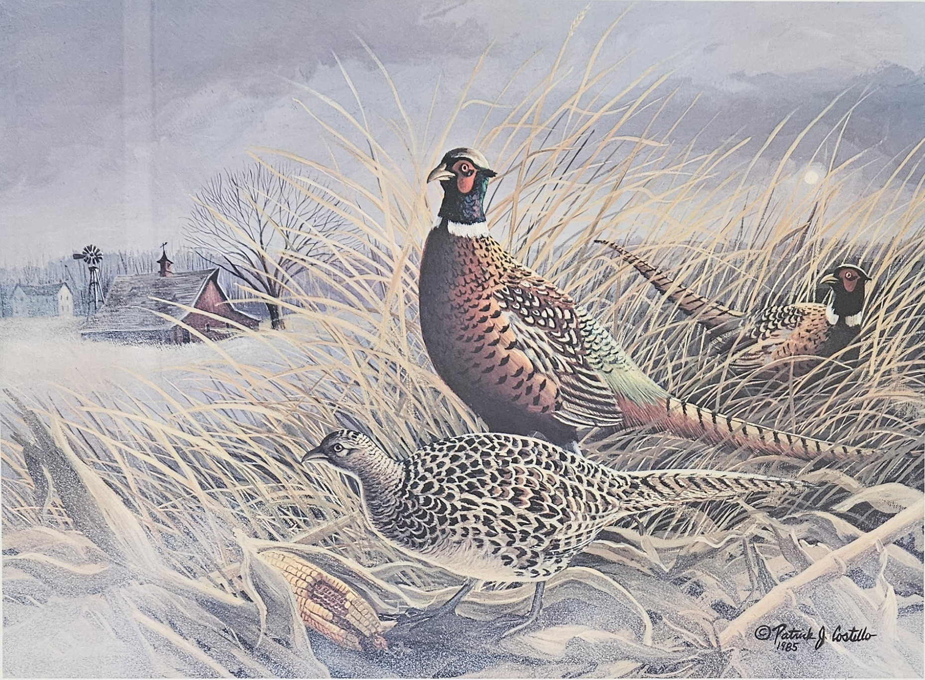 PATRICK J. COSTELLO. "Happy Morn Pheasants". Tryck, signerad Patrick J. Costello och numrerad 342/500.