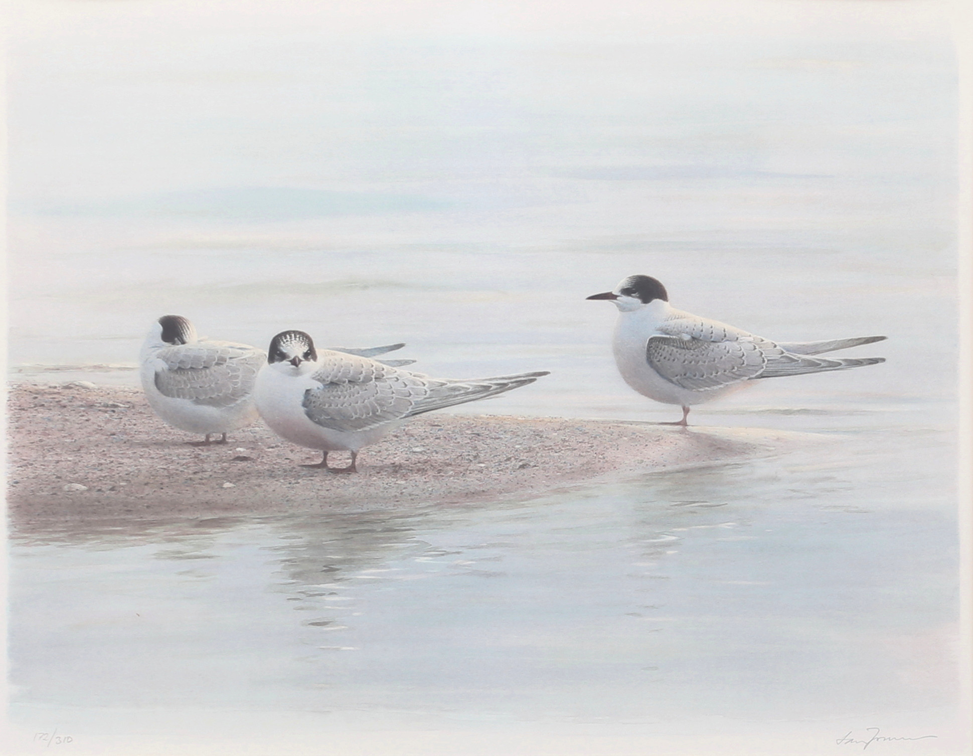 LARS JONSSON. Tärnor vid vatten. Färglitografi, signerad, numrerad 172/310.