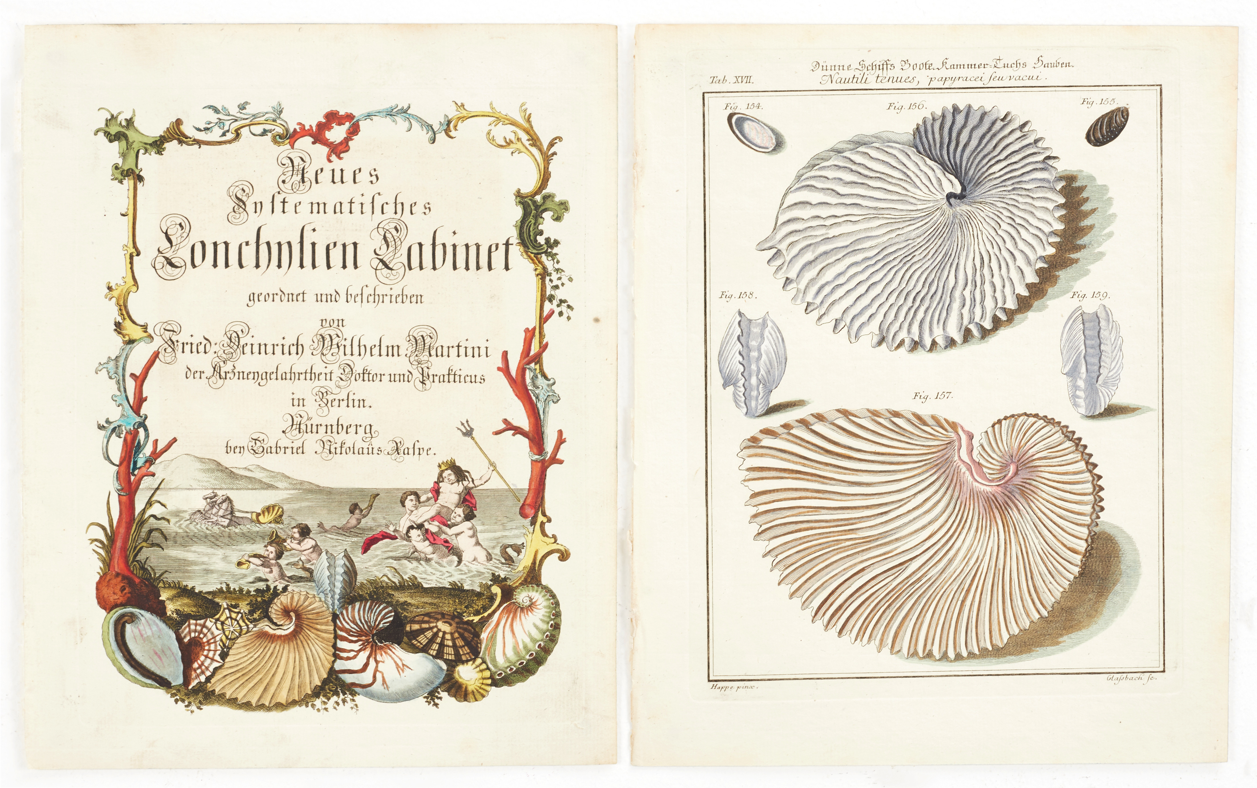 MARTINI, titelblad + illustration av snäckor, ur "Neues systematisches Conchylien-Cabinet ", Vol I, 1769.