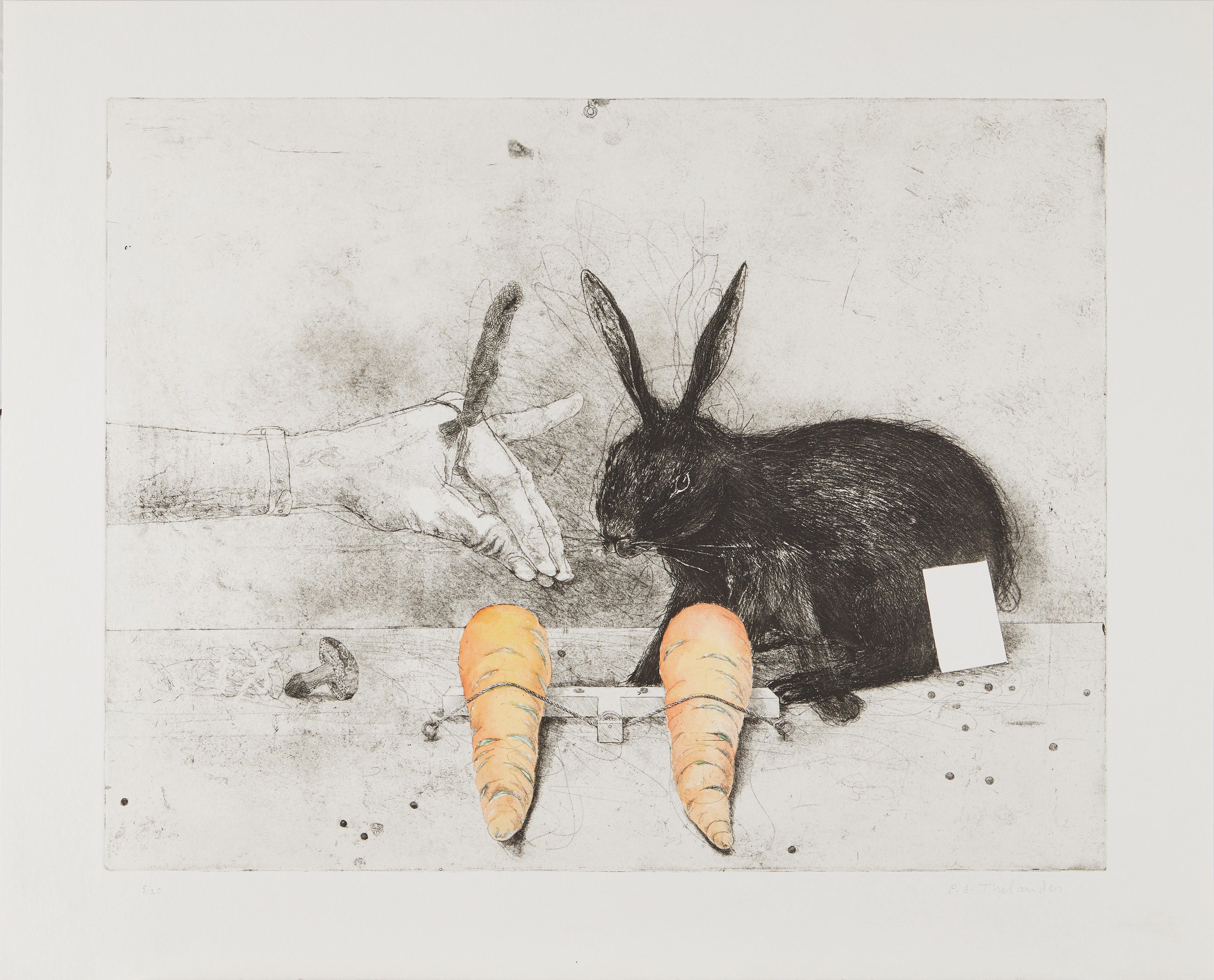 PÄR GUNNAR THELANDER (FÖDD 1936). "Hur att fånga en kanin", etsning, delvis handkolorerad, 1979.