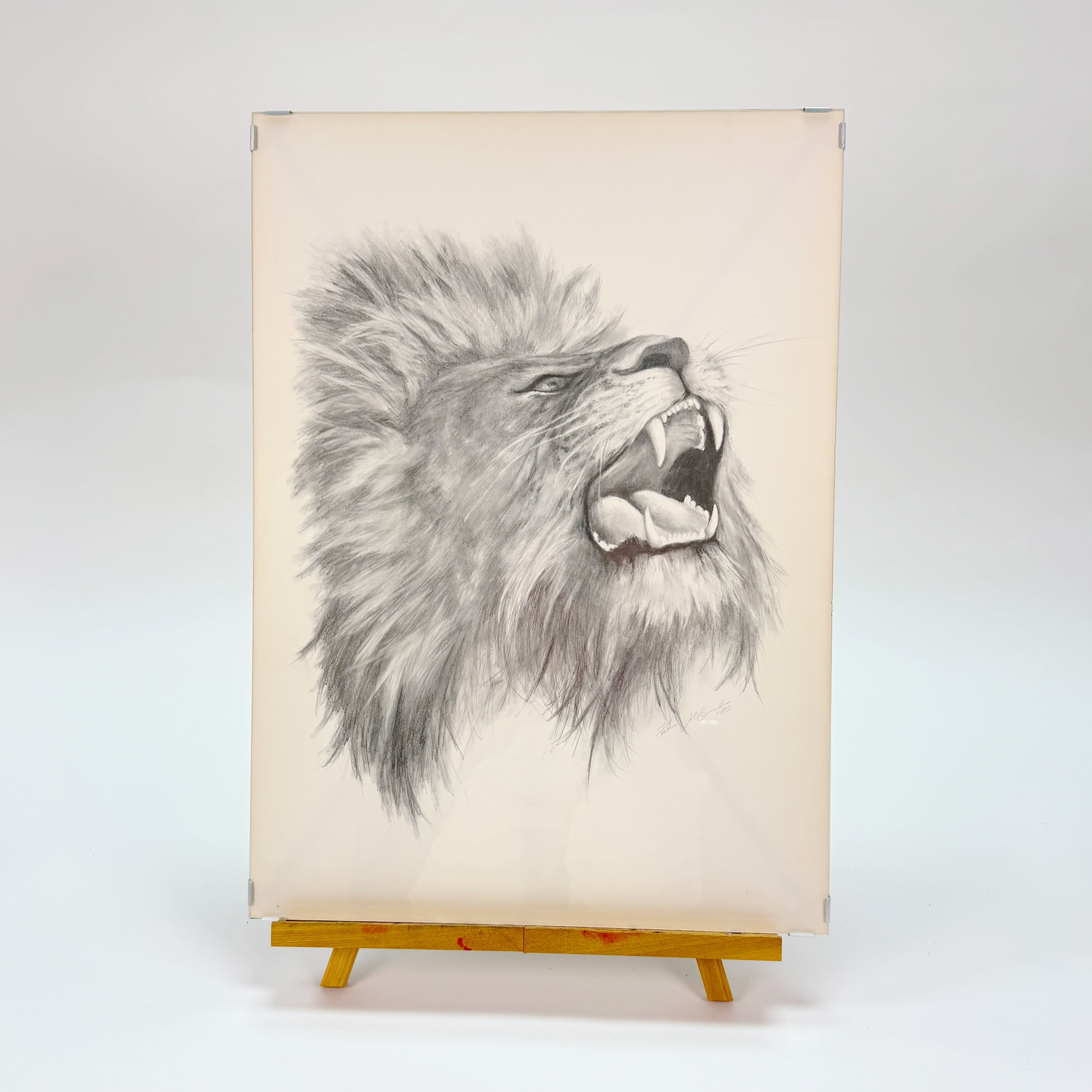 TECKNING BLYERTS, Lejon, signerad och daterad - 80.