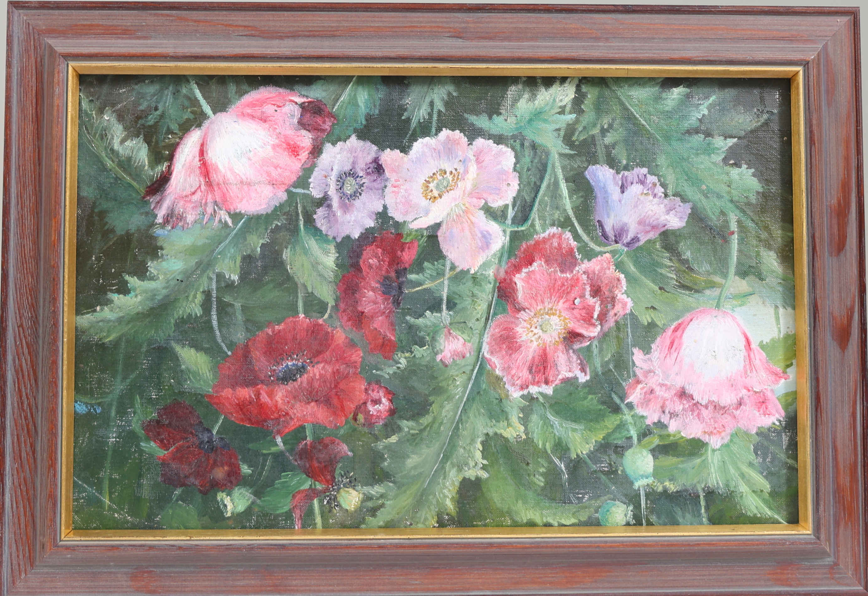 GUSTAF BÖKLIN. TILLSKRIVEN. Vallmo, olja på pannå.