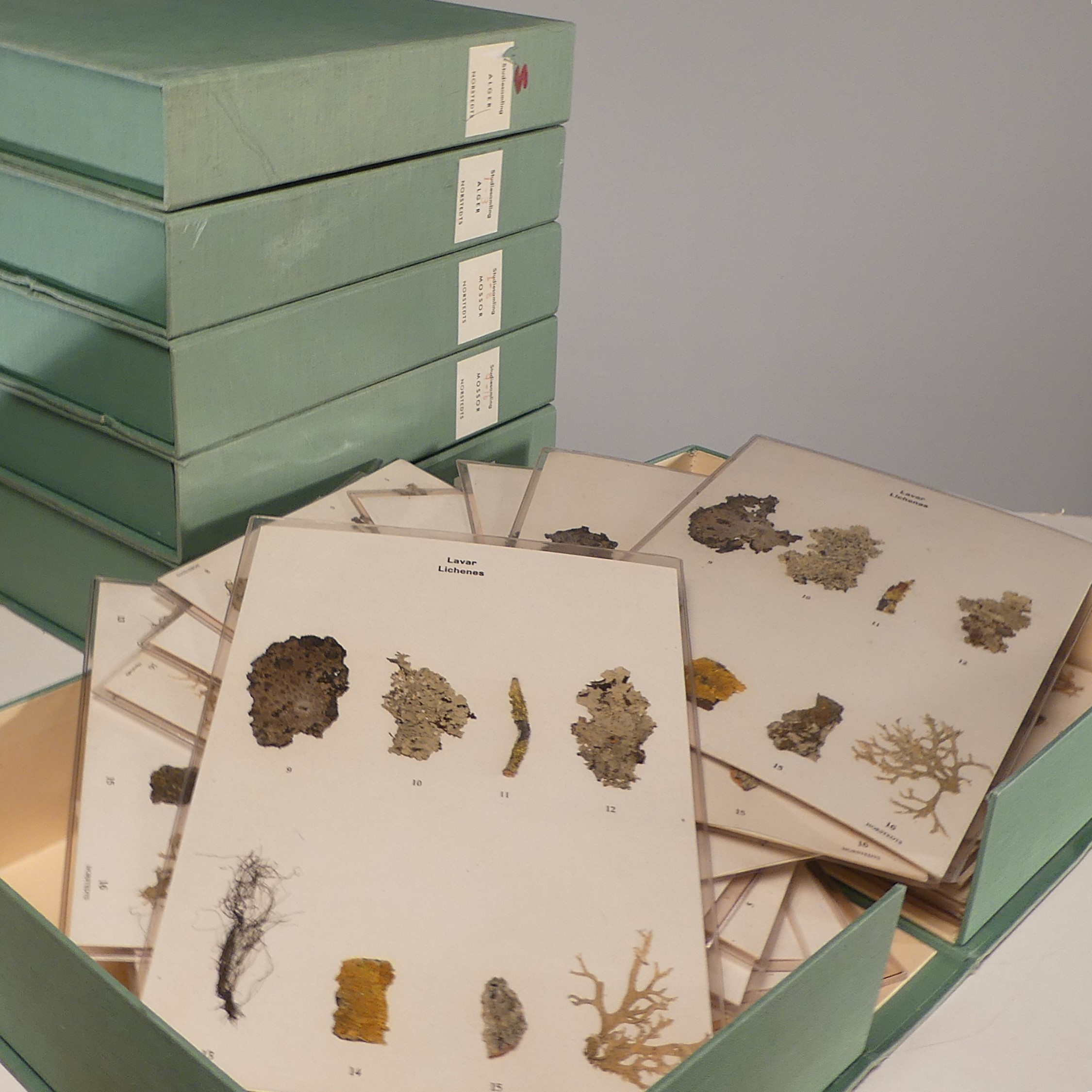 SKOLHERBARIUM, 6 st boxar, Norstedts.