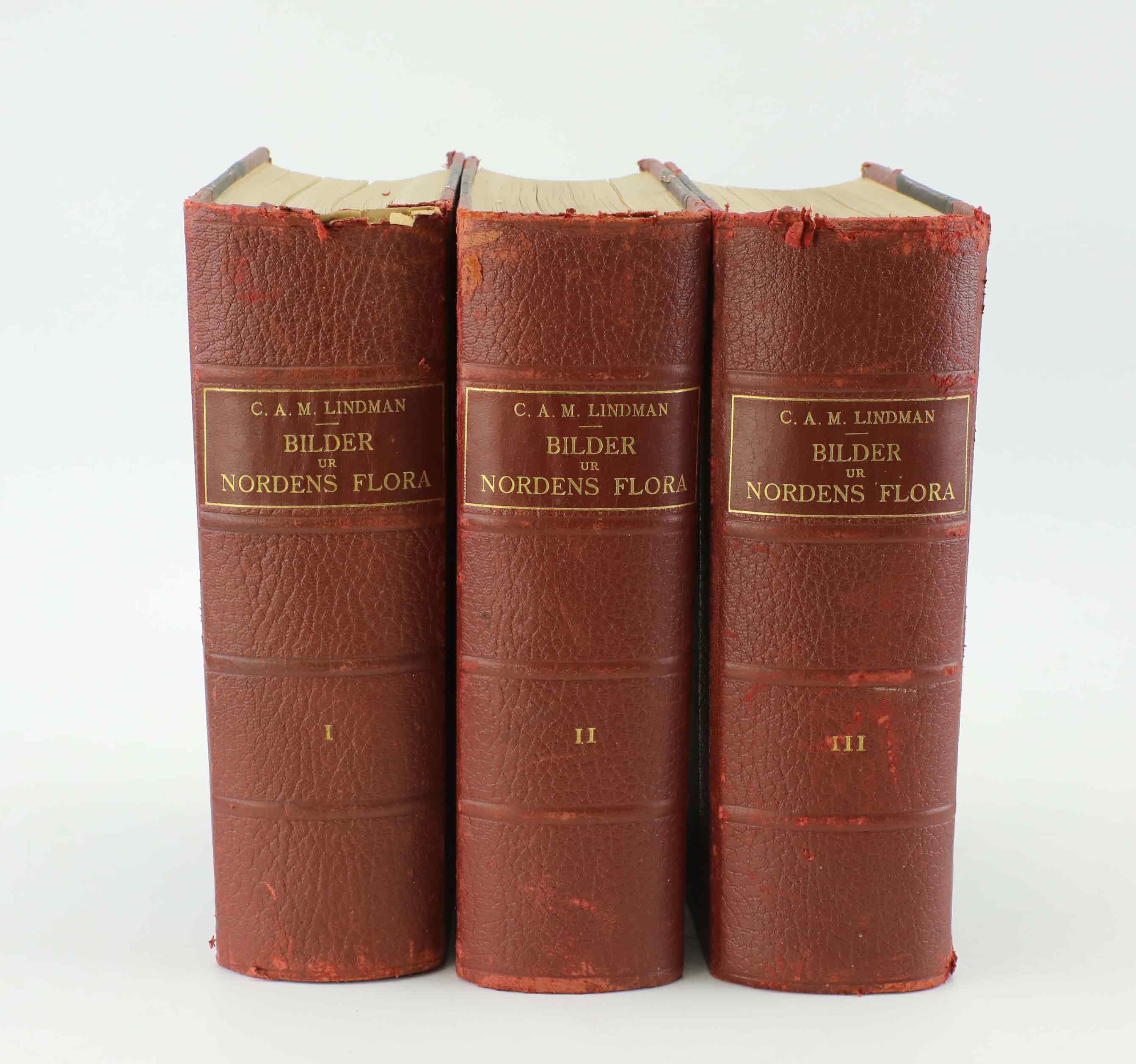 C.A.M LINDMAN. "BILDER UR NORDENS FLORA" I-III, 3 vol, Isaac Marcus Boktryckeri-A.-B. Stockholm 1922.